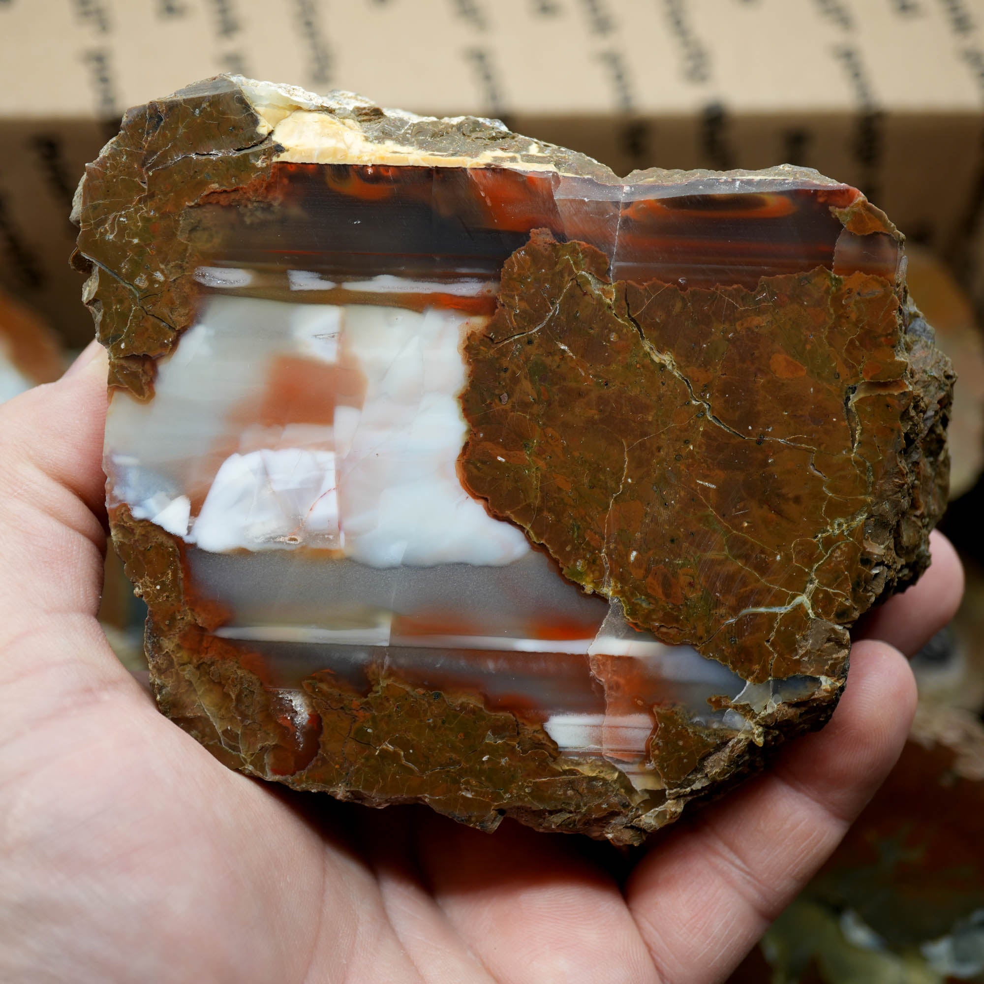 Polished Oregon Thunder Egg Lucky Strike Mossy Pattern Display #F366-Photo7