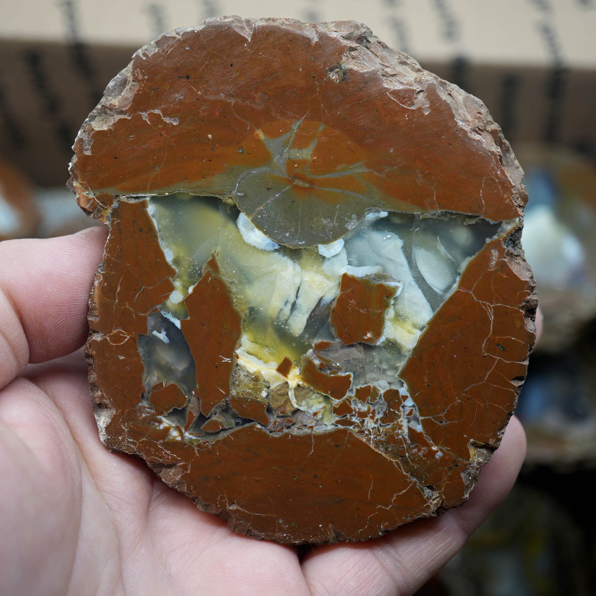 Polished Oregon Thunder Egg Lucky Strike Mossy Pattern Display #F366-Photo8