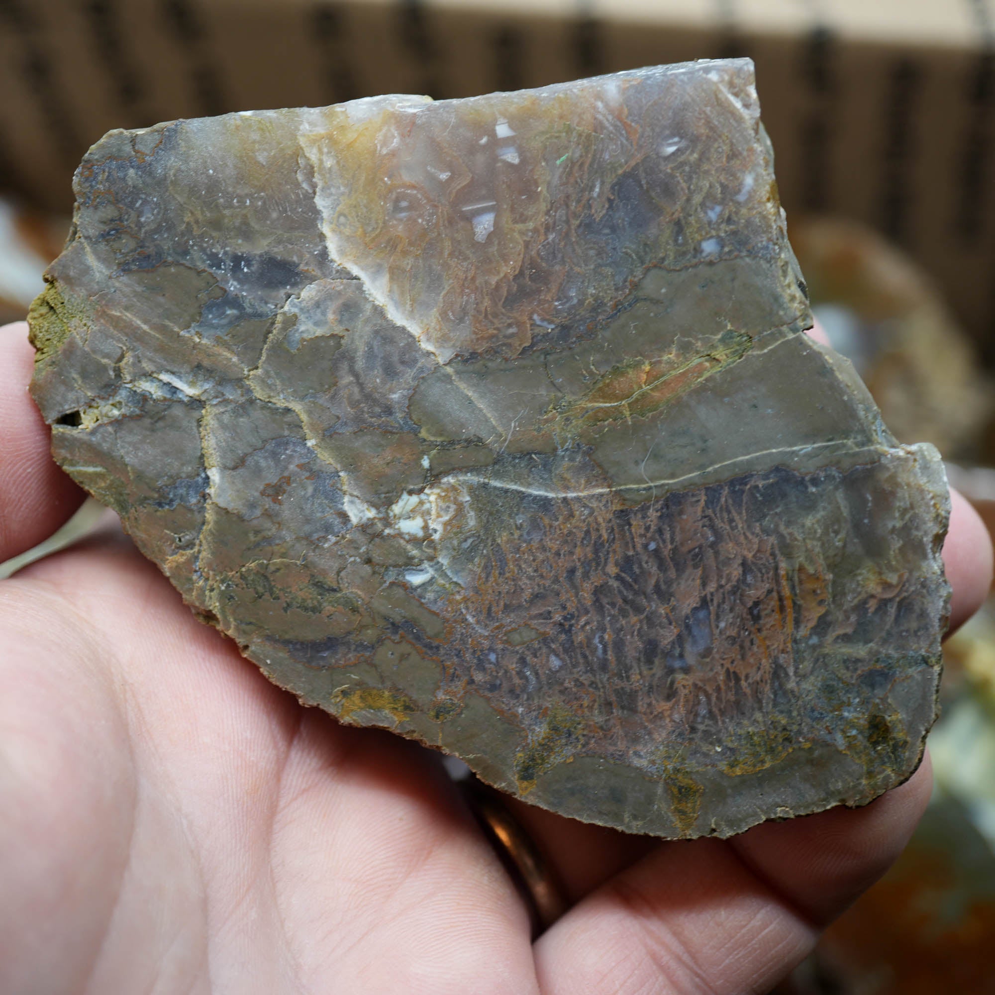 Polished Oregon Thunder Egg Lucky Strike Mossy Pattern Display #F366-Photo9