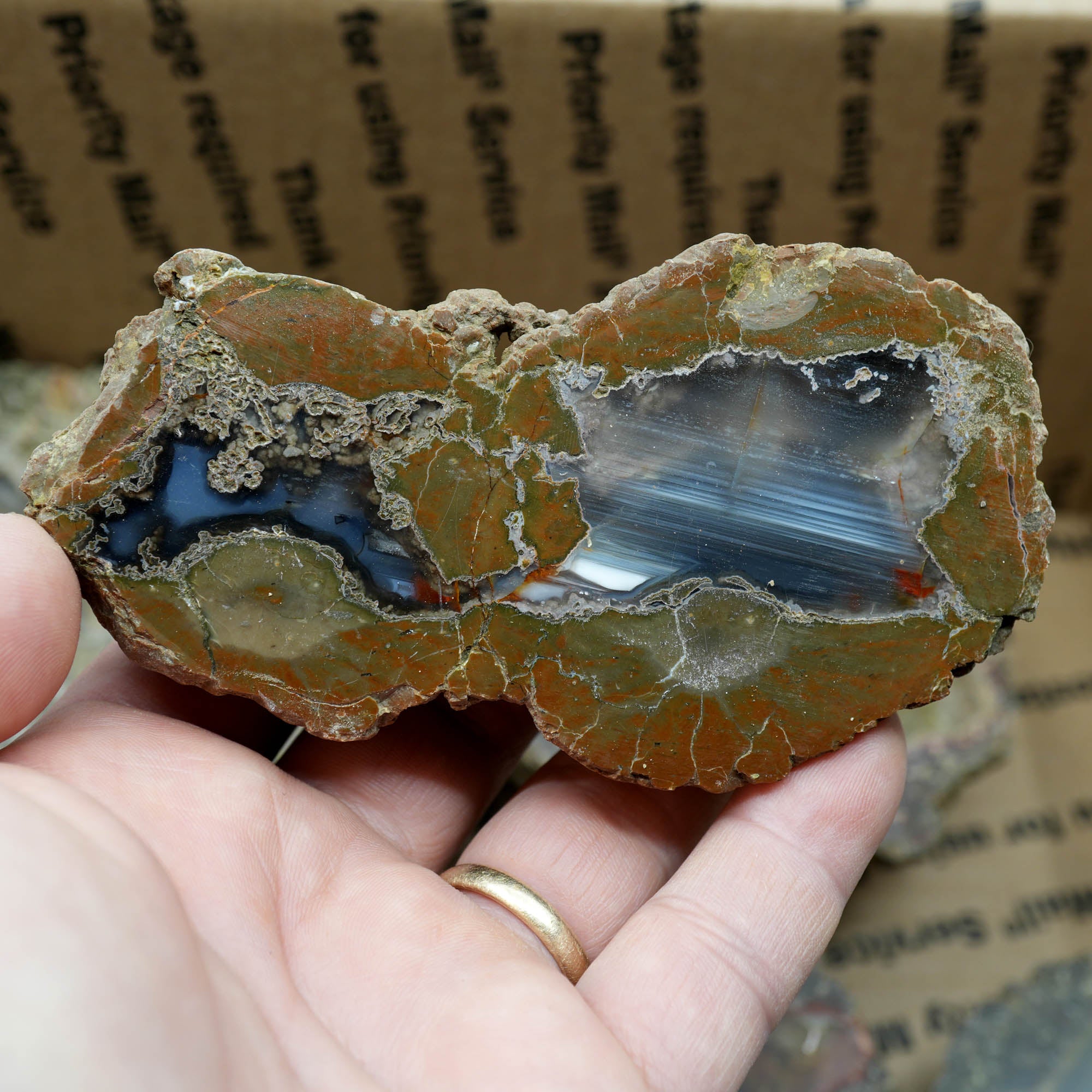 Polished Oregon Thunder Egg Lucky Strike Mossy Pattern Display #F366-Photo4