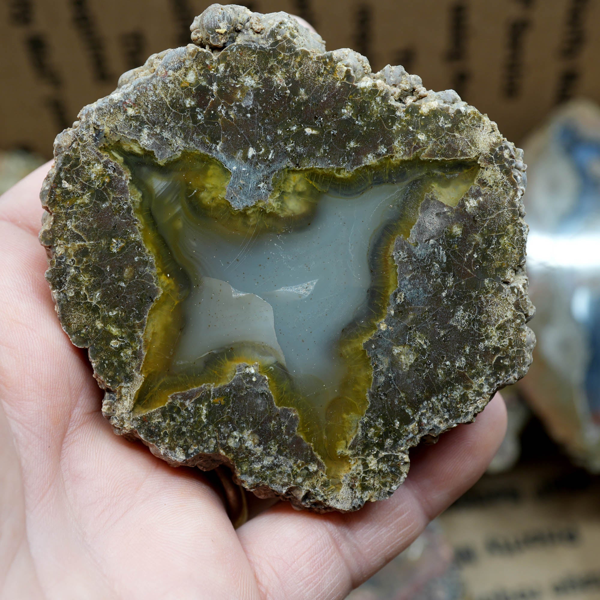 Polished Oregon Thunder Egg Lucky Strike Mossy Pattern Display #F366-Photo10