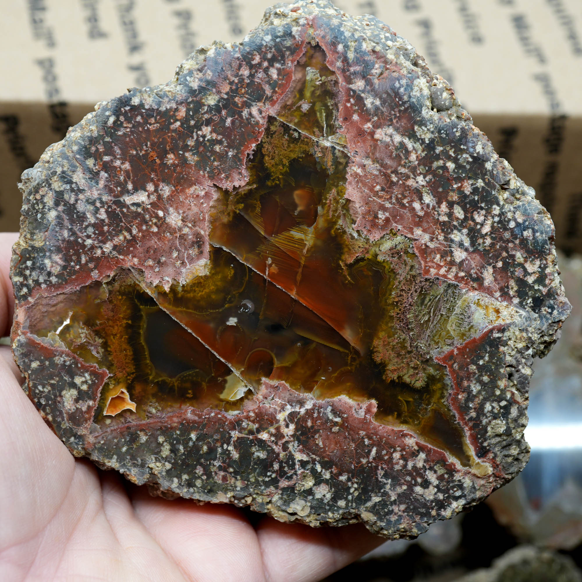 Polished Oregon Thunder Egg Lucky Strike Mossy Pattern Display #F366-Photo3