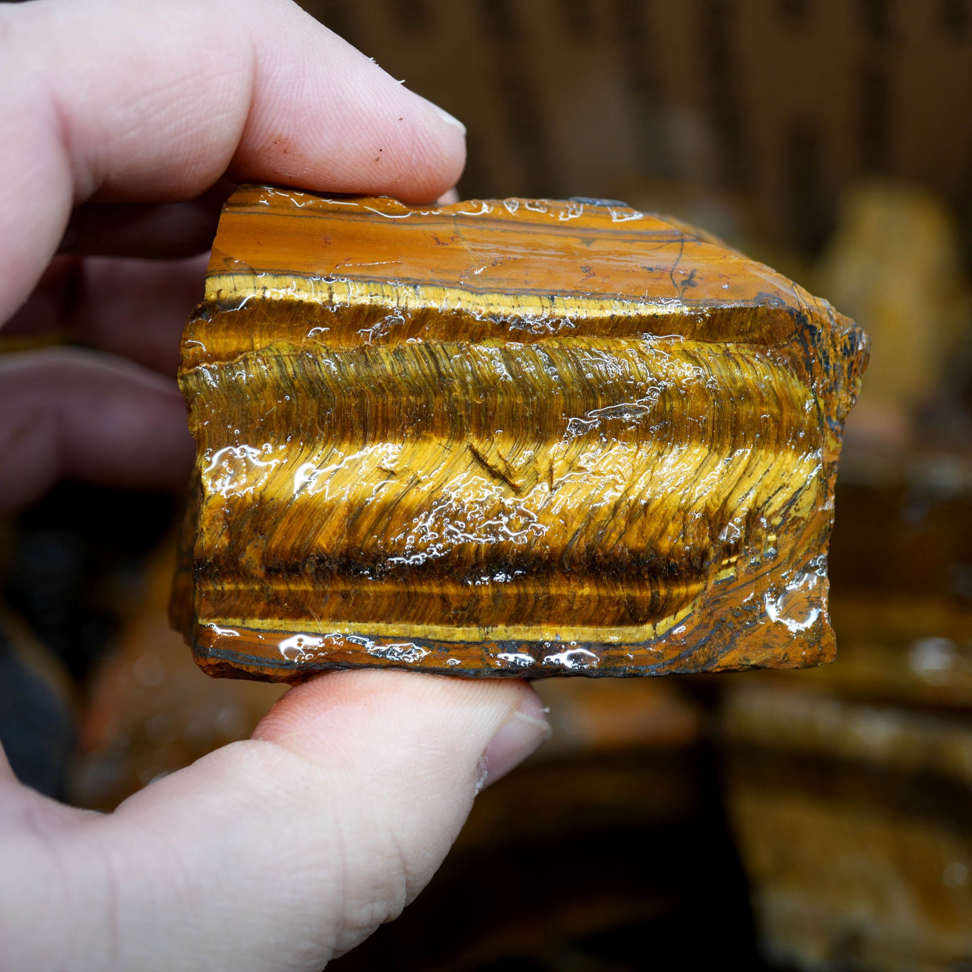 Golden Tiger Eye Rough Strong Flash Chatoyant Hawkeye Blue #F367-Photo10
