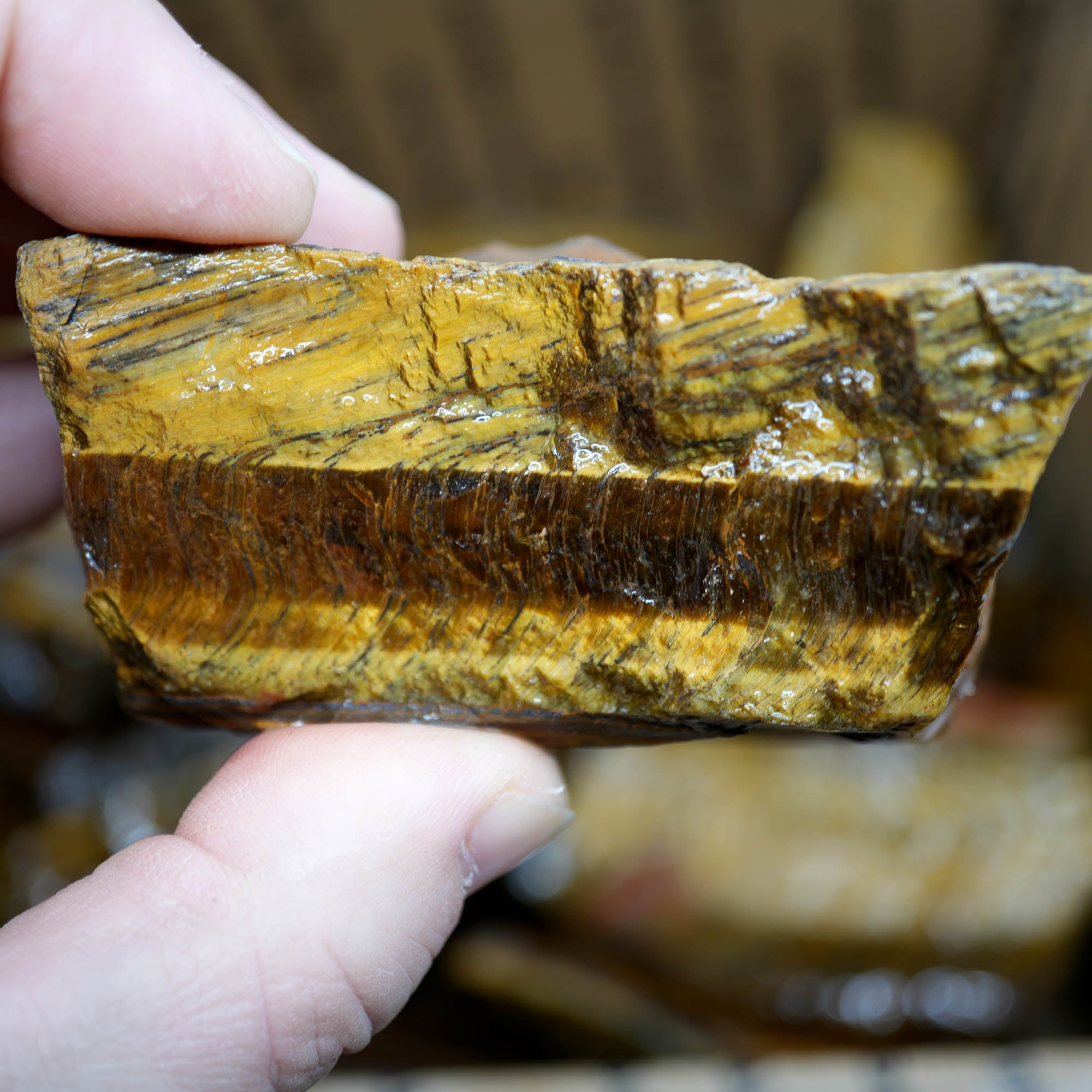 Golden Tiger Eye Rough Strong Flash Chatoyant Hawkeye Blue #F367-Photo4