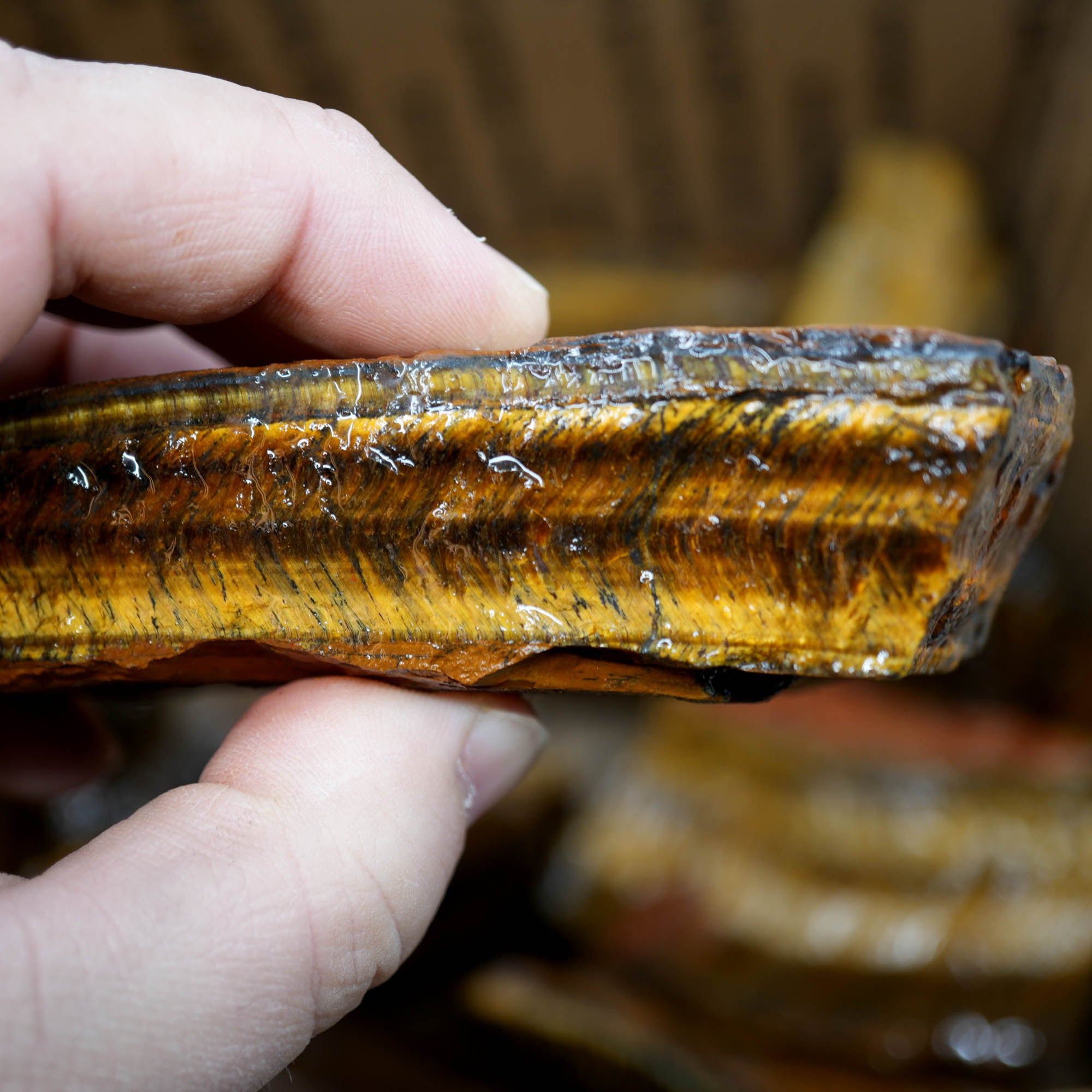 Golden Tiger Eye Rough Strong Flash Chatoyant Hawkeye Blue #F367-Photo5