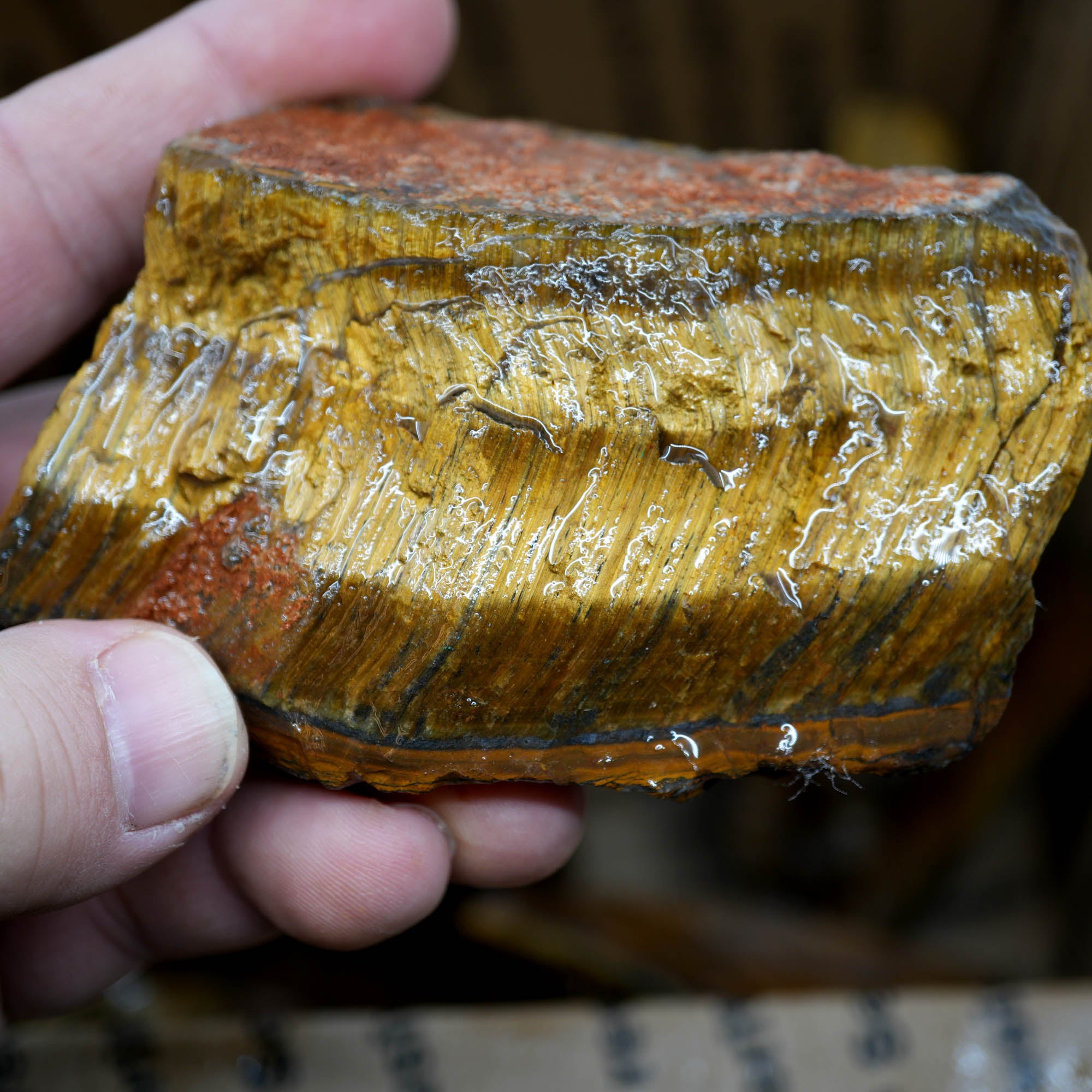 Golden Tiger Eye Rough Strong Flash Chatoyant Hawkeye Blue #F367-Photo6