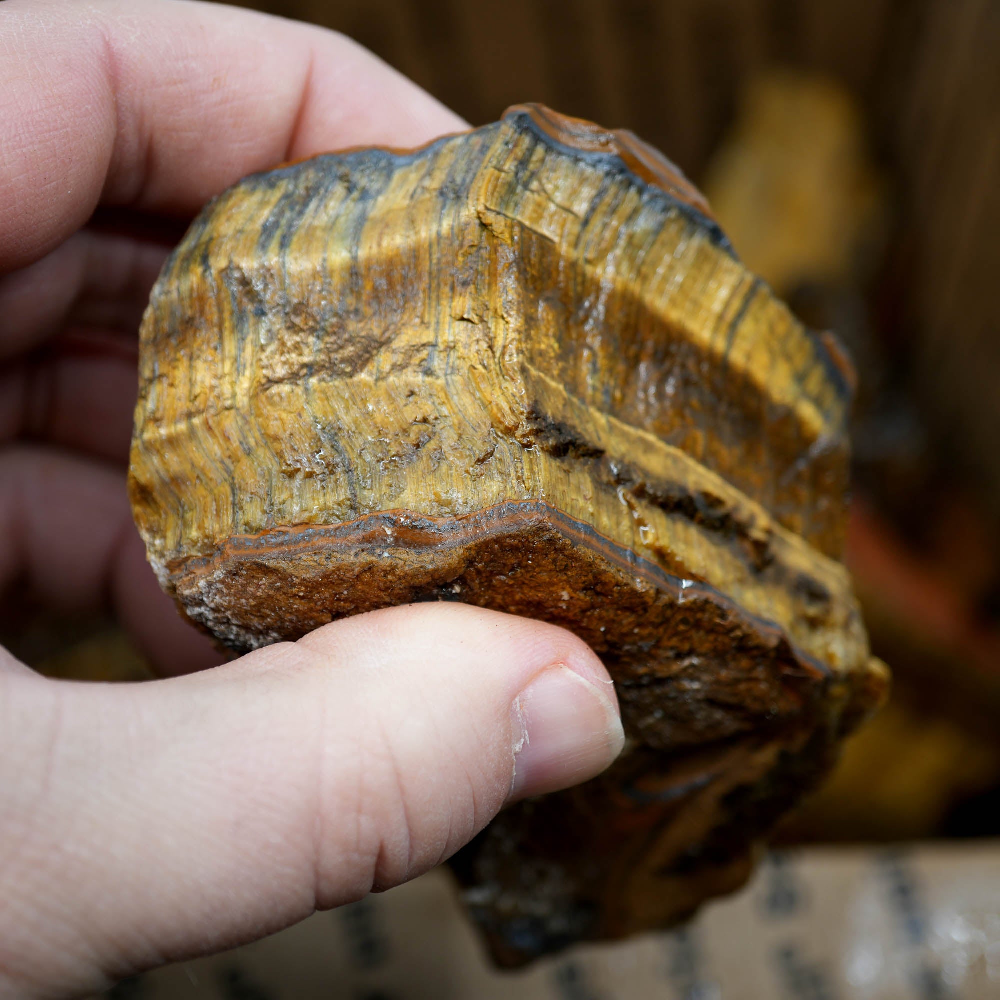 Golden Tiger Eye Rough Strong Flash Chatoyant Hawkeye Blue #F367-Photo7