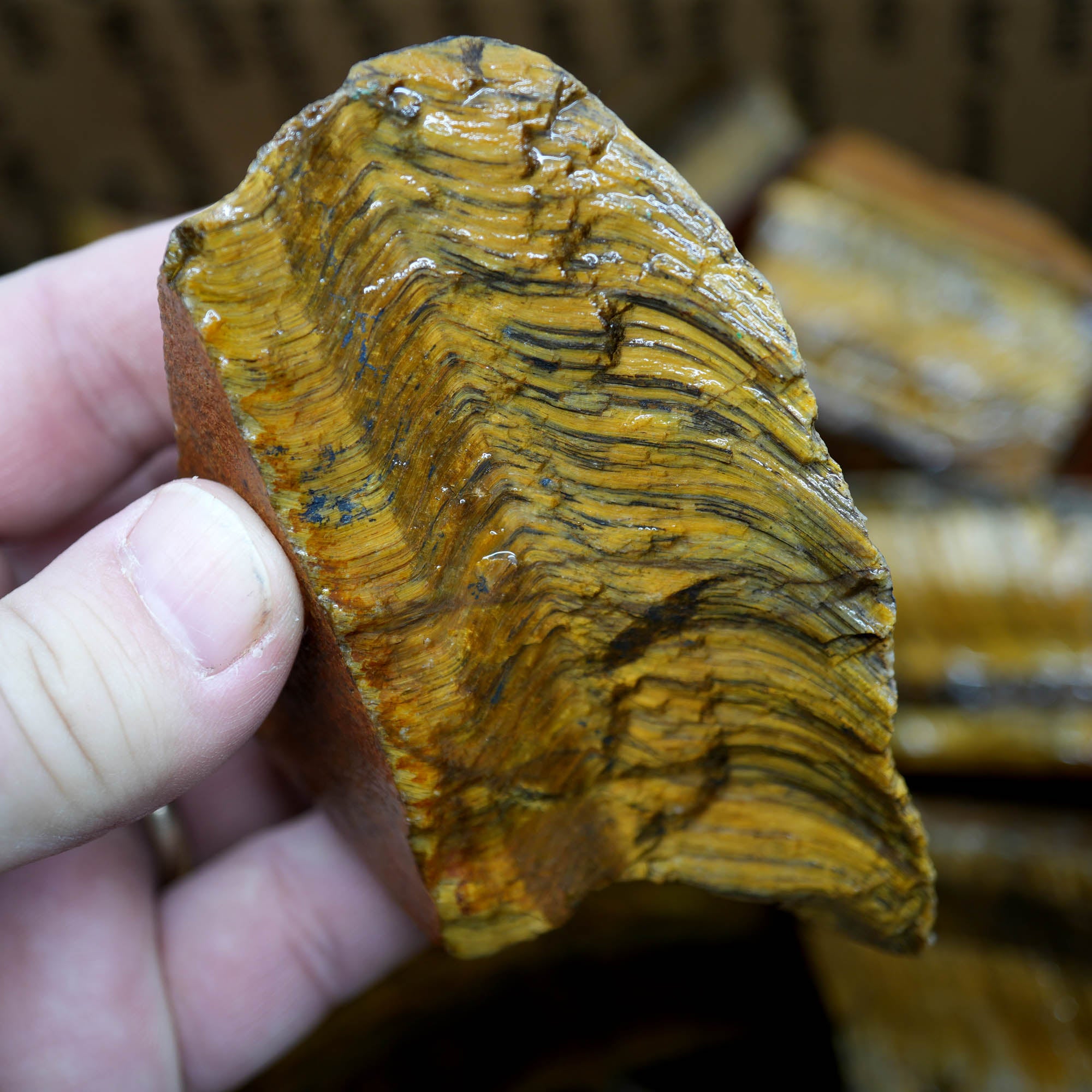 Golden Tiger Eye Rough Strong Flash Chatoyant Hawkeye Blue #F367-Photo3