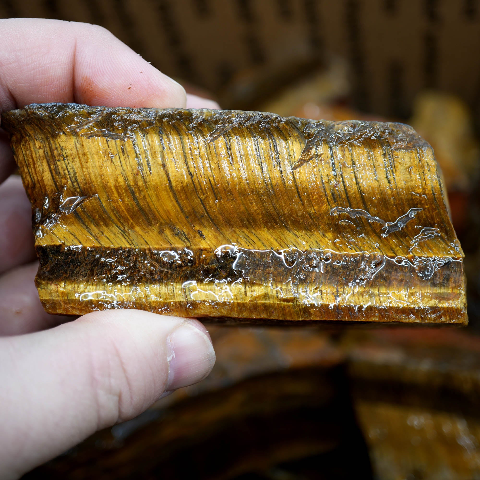 Golden Tiger Eye Rough Strong Flash Chatoyant Hawkeye Blue #F367-Photo2