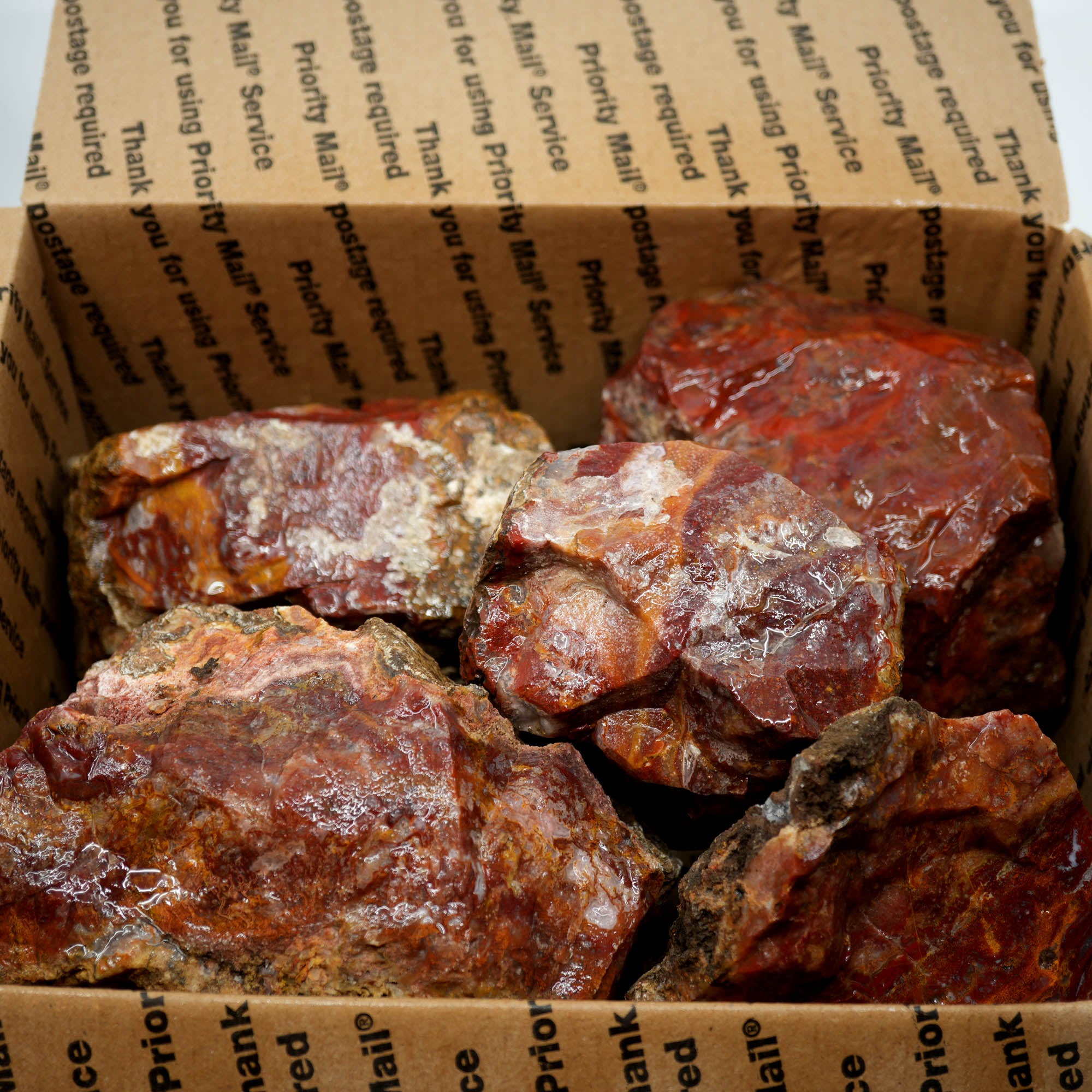 Agua Nueva Moss Agate Red Golden Well-Defined Moss Pattern #F368-Photo13