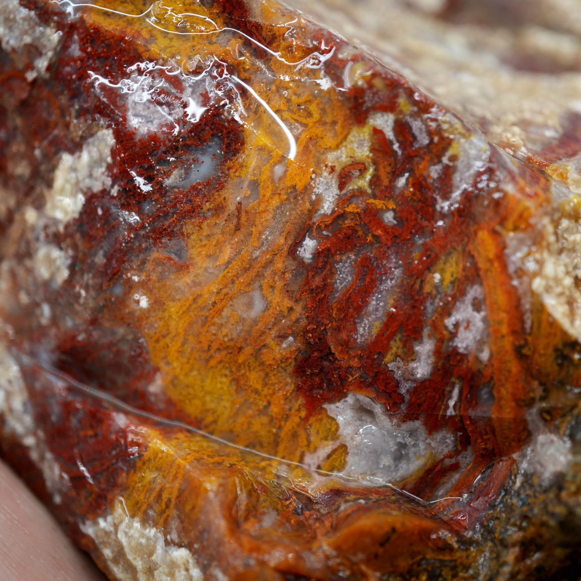 Agua Nueva Moss Agate Red Golden Well-Defined Moss Pattern #F368-Photo2