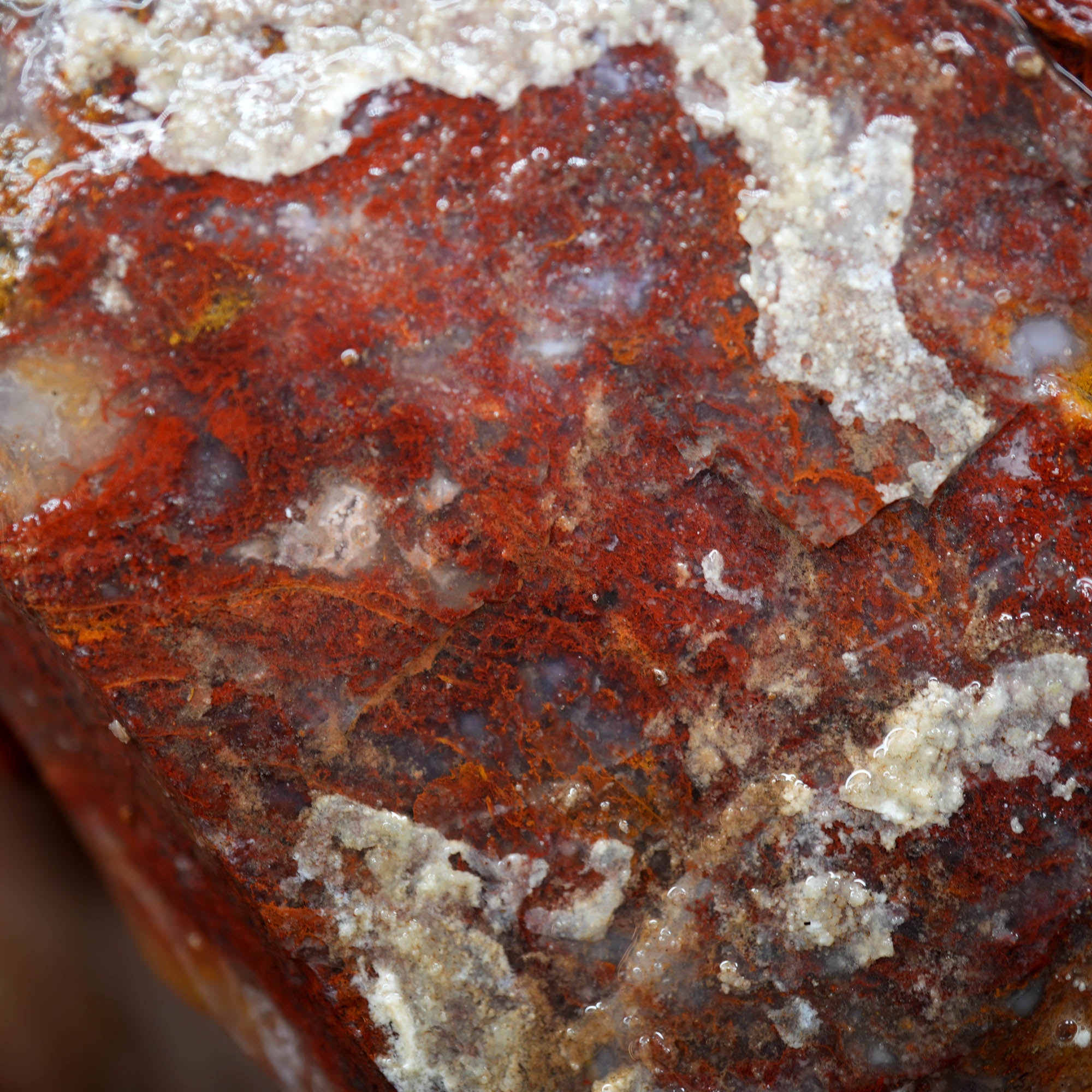 Agua Nueva Moss Agate Red Golden Well-Defined Moss Pattern #F368-Photo9