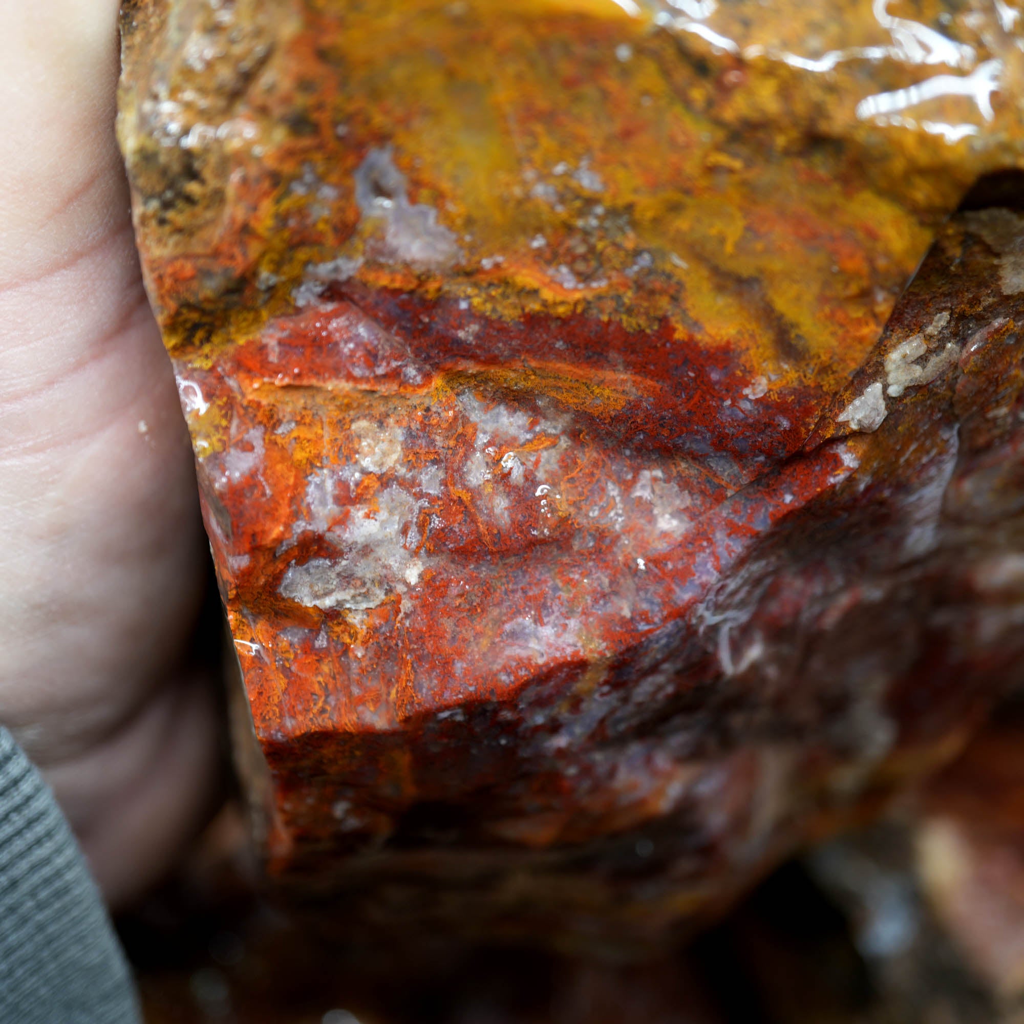 Agua Nueva Moss Agate Red Golden Well-Defined Moss Pattern #F368-Photo10