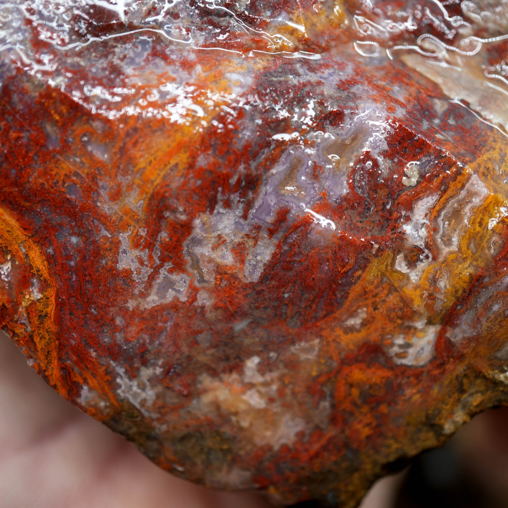 Agua Nueva Moss Agate Red Golden Well-Defined Moss Pattern #F368-Photo12