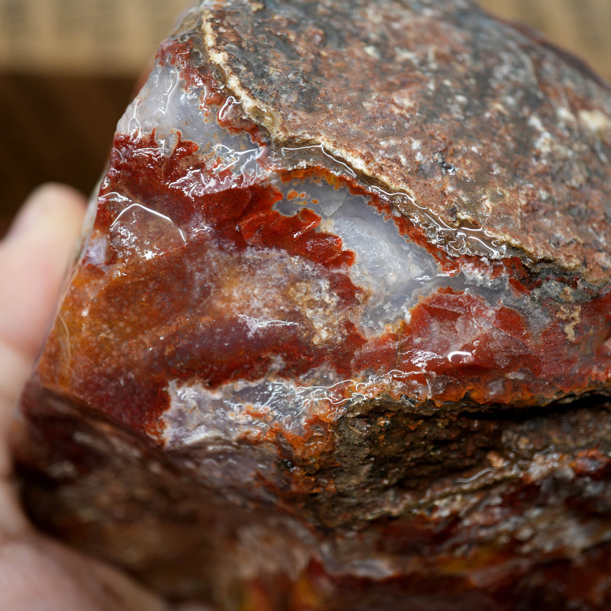 Agua Nueva Moss Agate Red Golden Well-Defined Moss Pattern #F368-Photo3