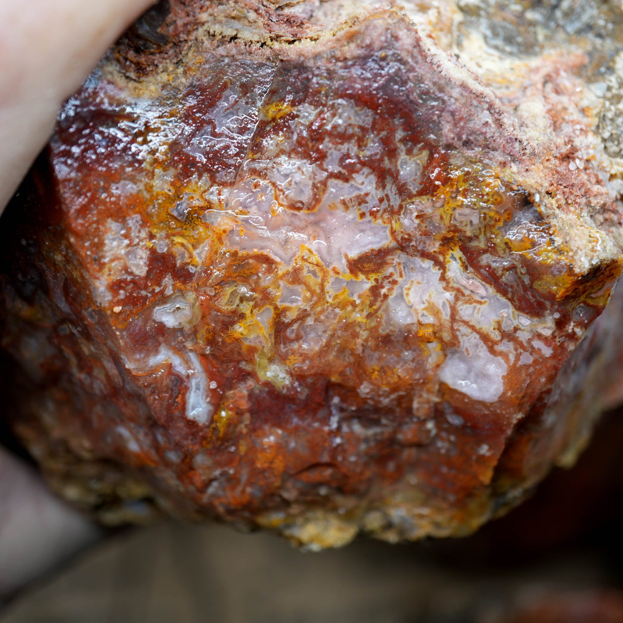 Agua Nueva Moss Agate Red Golden Well-Defined Moss Pattern #F368-Photo1