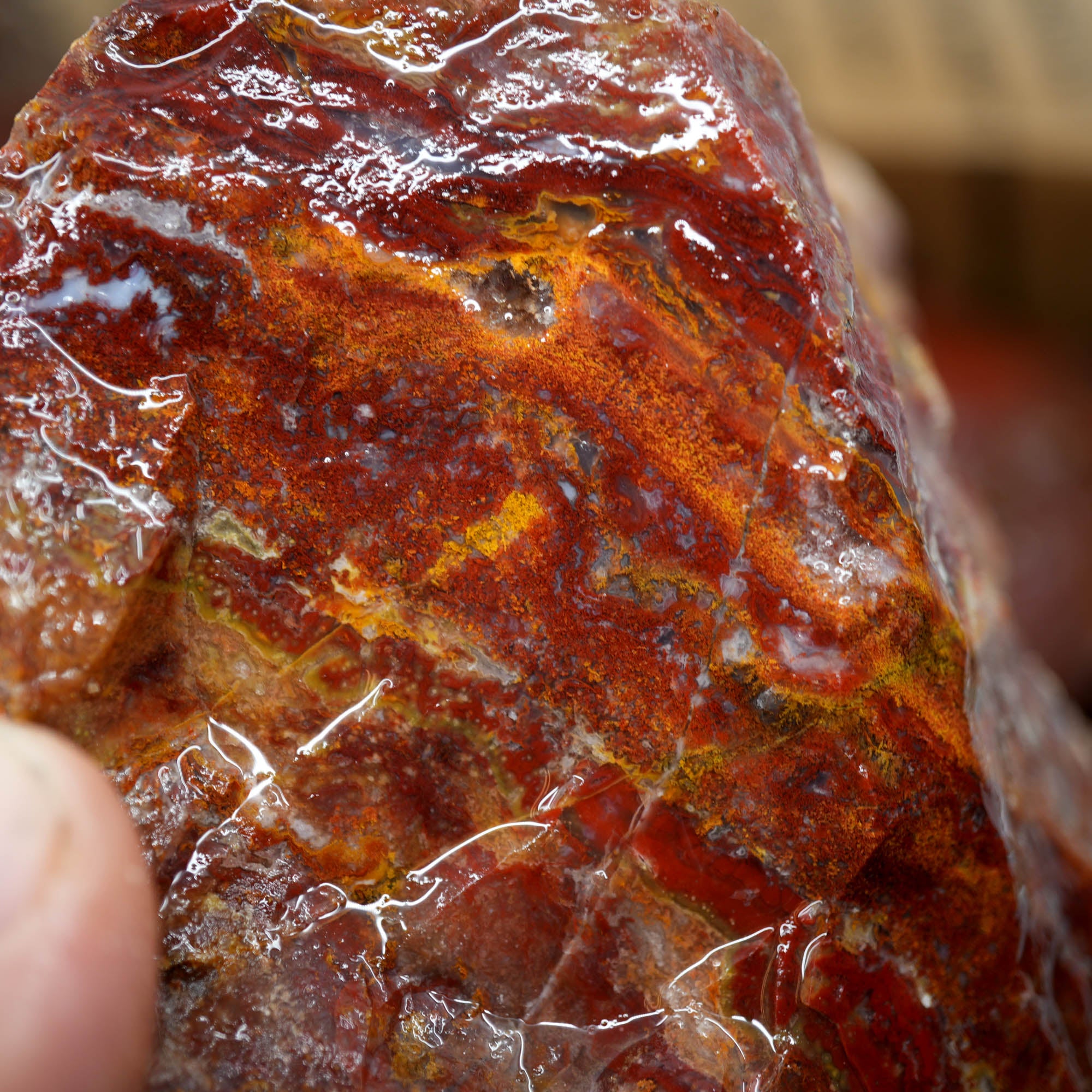 Agua Nueva Moss Agate Red Golden Well-Defined Moss Pattern #F368-Photo4