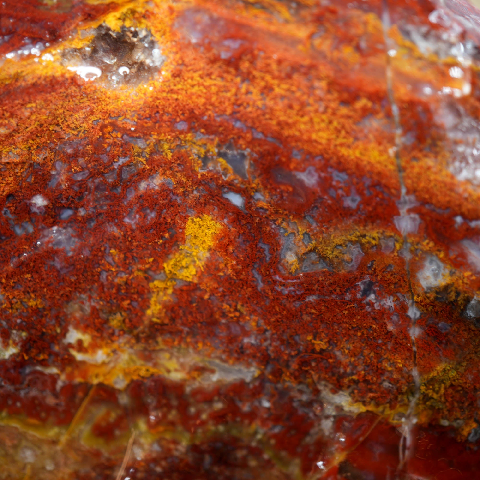 Agua Nueva Moss Agate Red Golden Well-Defined Moss Pattern #F368-Photo5