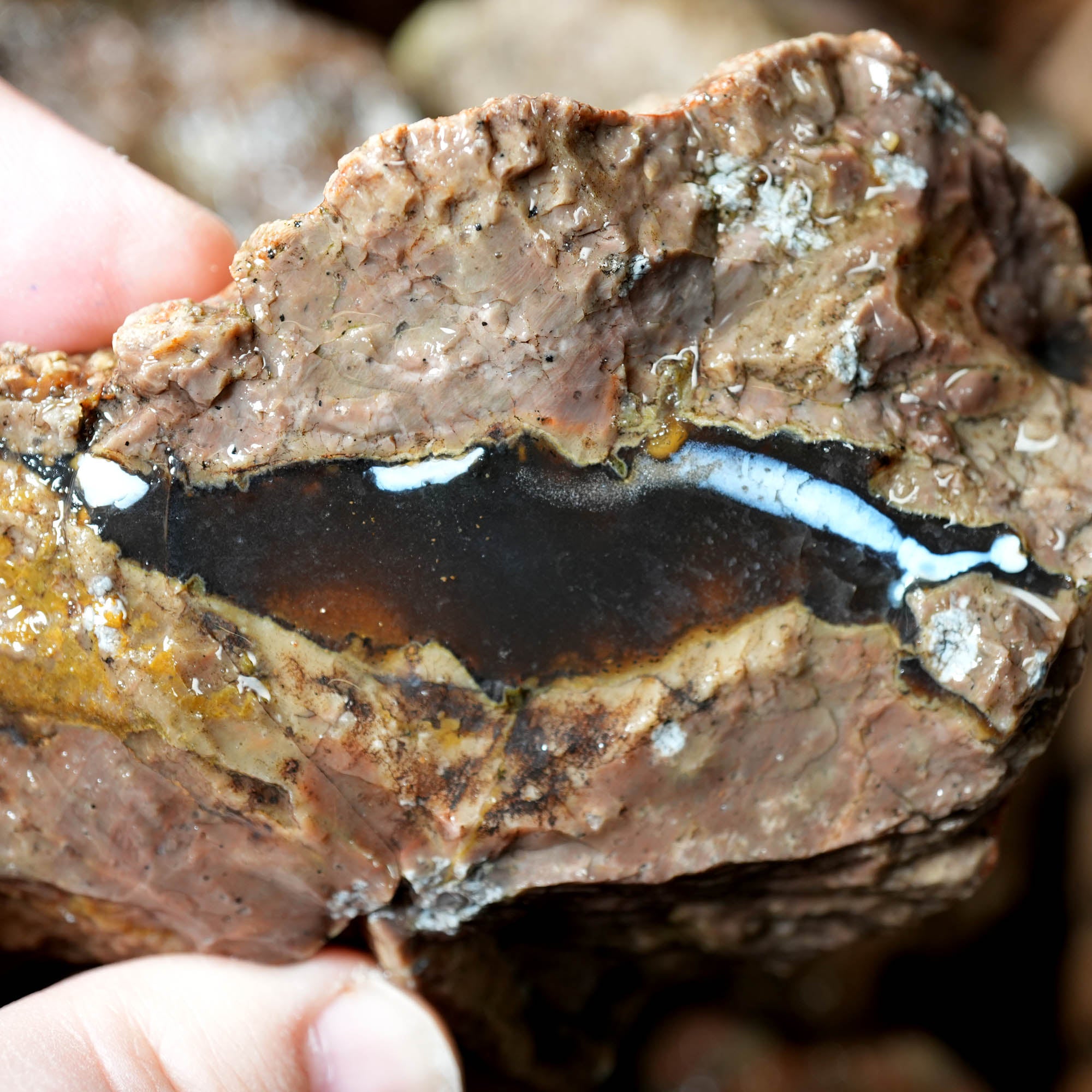 Mix Thundereggs Old Stock Flatrate - Rare Oregon Plume Potential #F369-Photo10