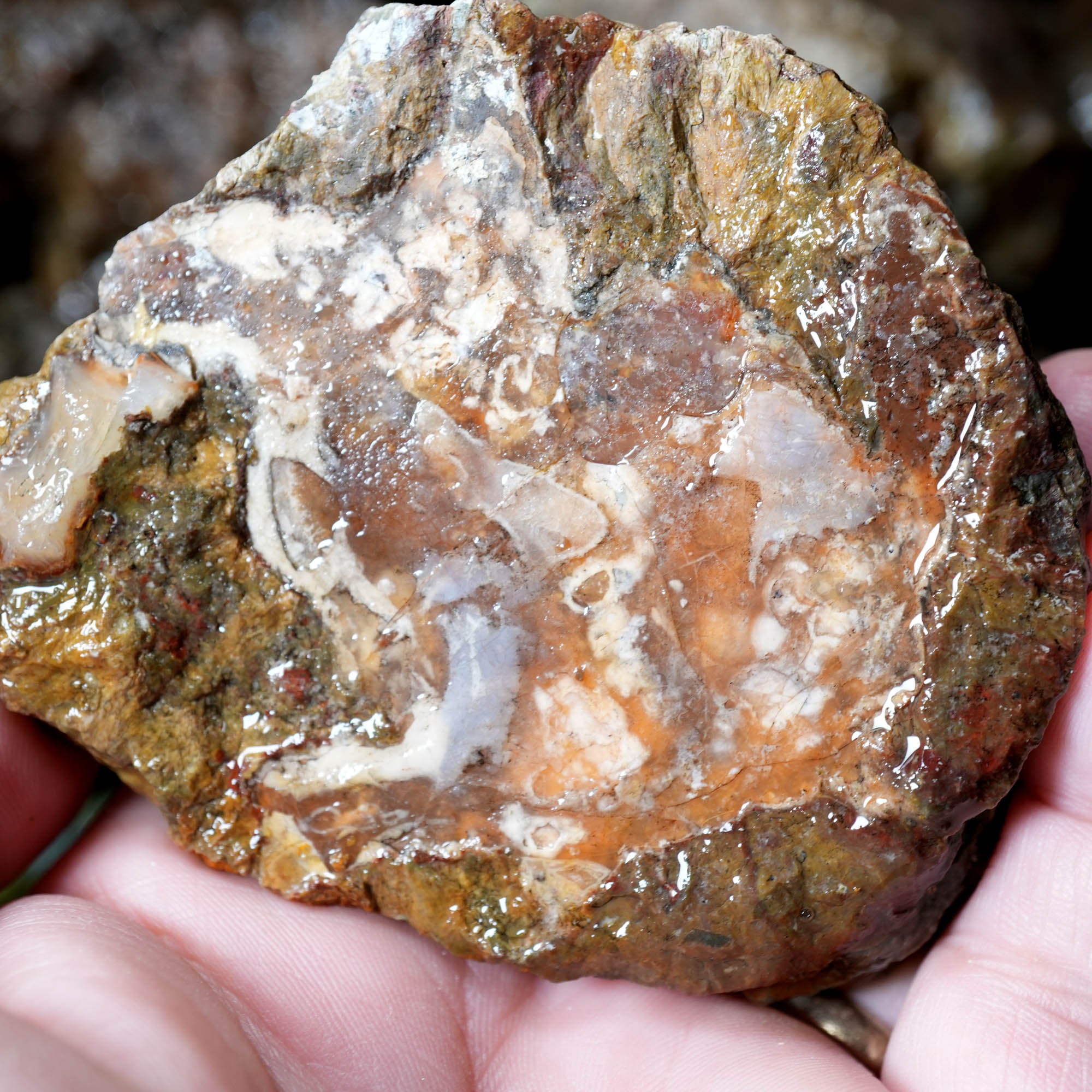Mix Thundereggs Old Stock Flatrate - Rare Oregon Plume Potential #F369-Photo11