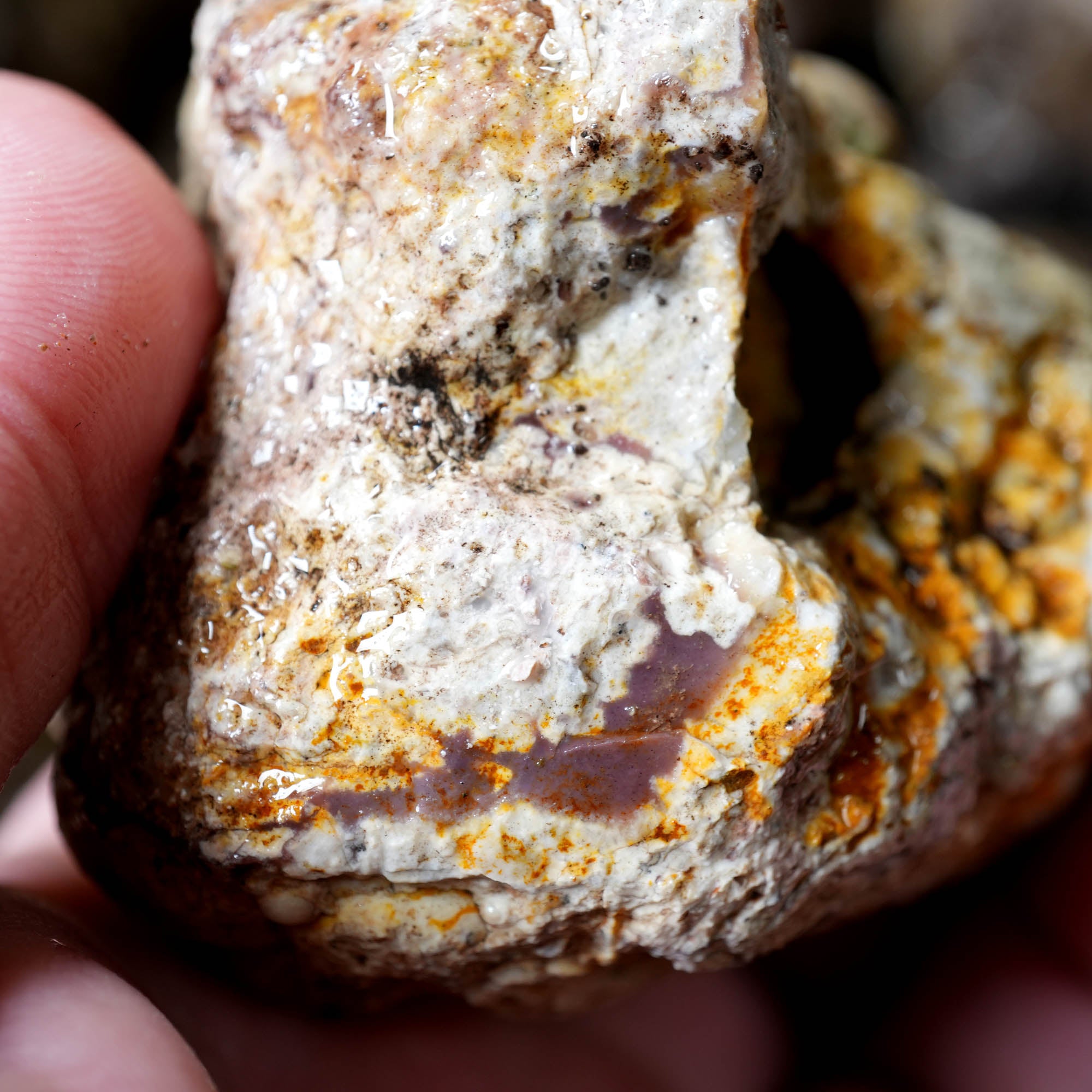 Mix Thundereggs Old Stock Flatrate - Rare Oregon Plume Potential #F369-Photo12