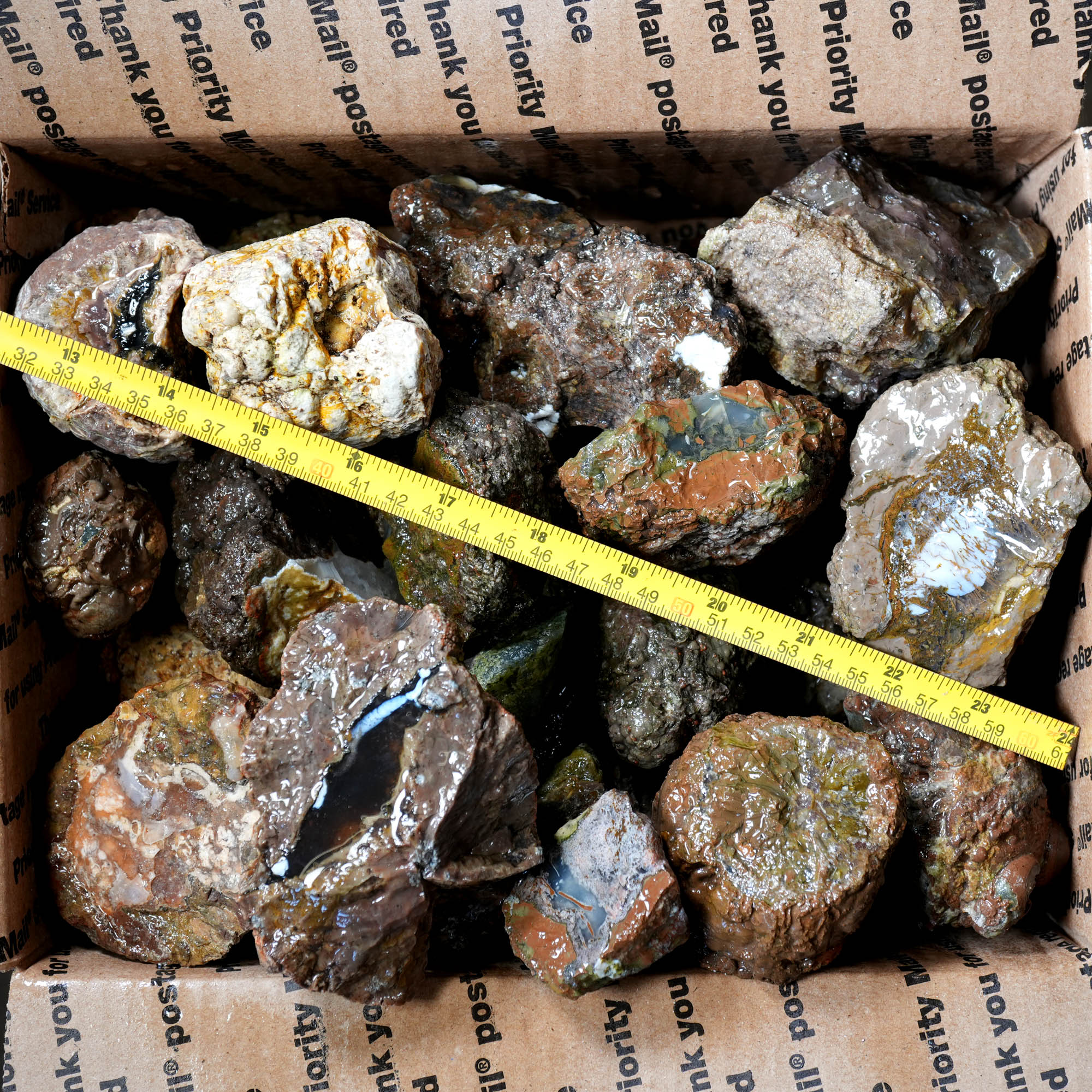 Mix Thundereggs Old Stock Flatrate - Rare Oregon Plume Potential #F369-Photo14