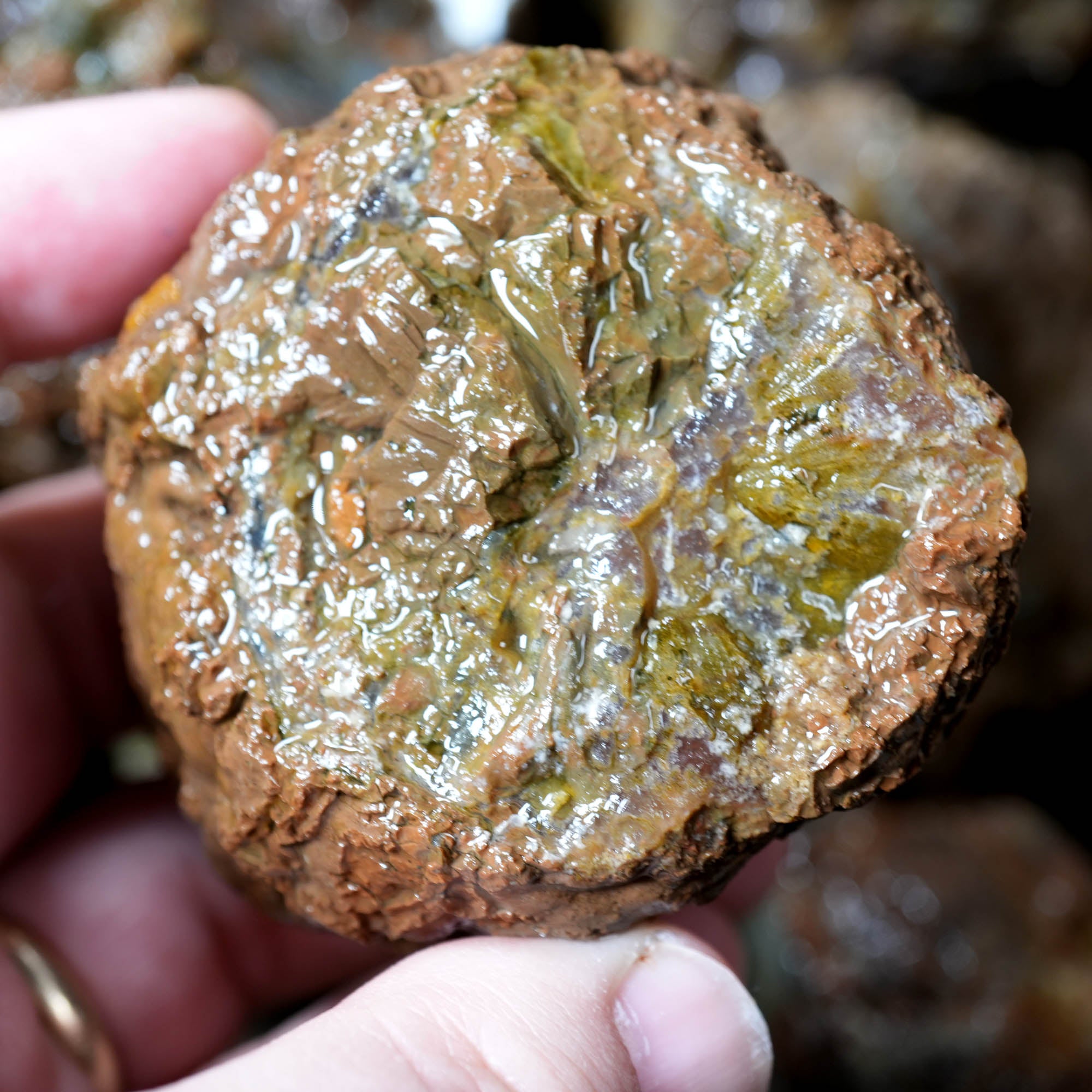 Mix Thundereggs Old Stock Flatrate - Rare Oregon Plume Potential #F369-Photo1