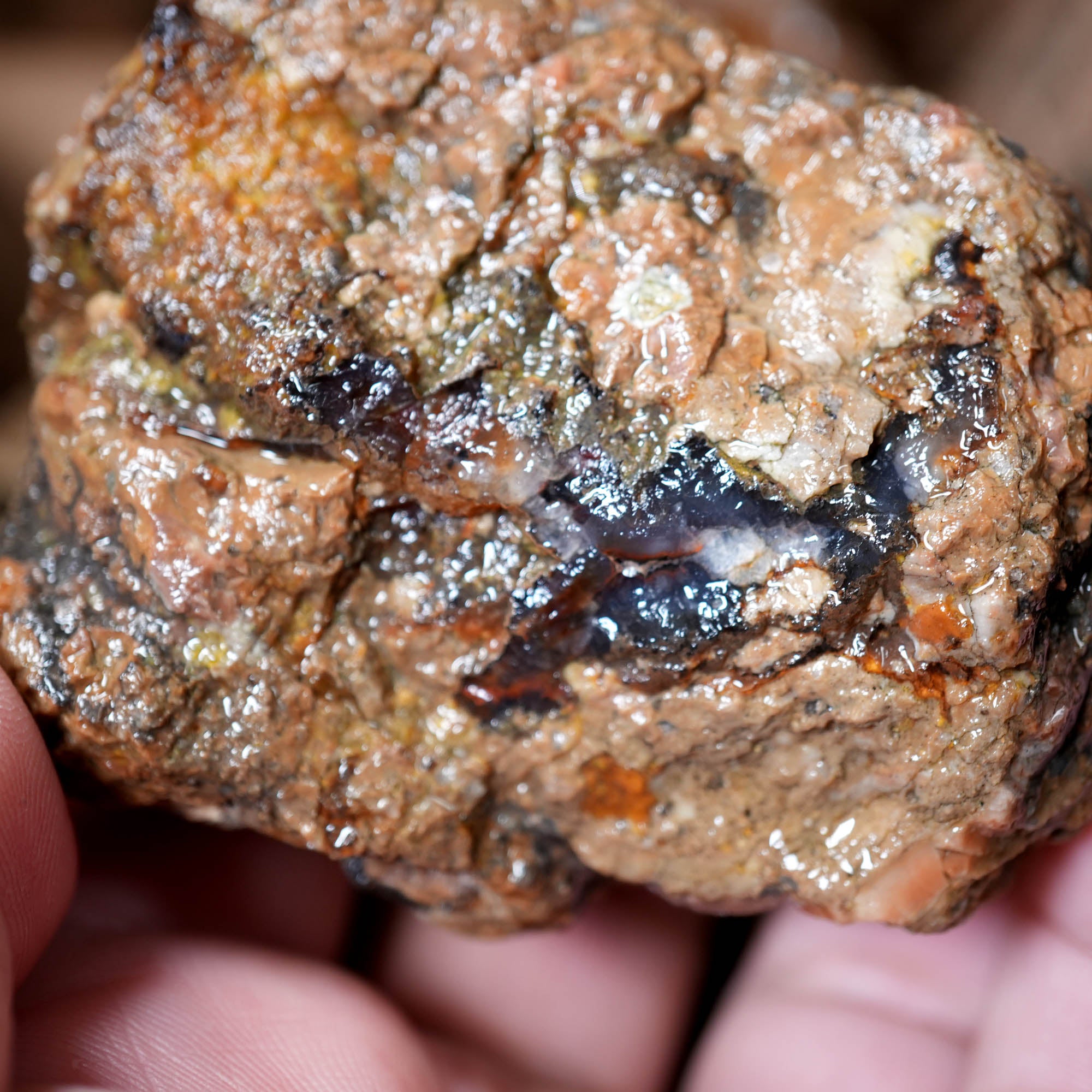 Mix Thundereggs Old Stock Flatrate - Rare Oregon Plume Potential #F369-Photo3