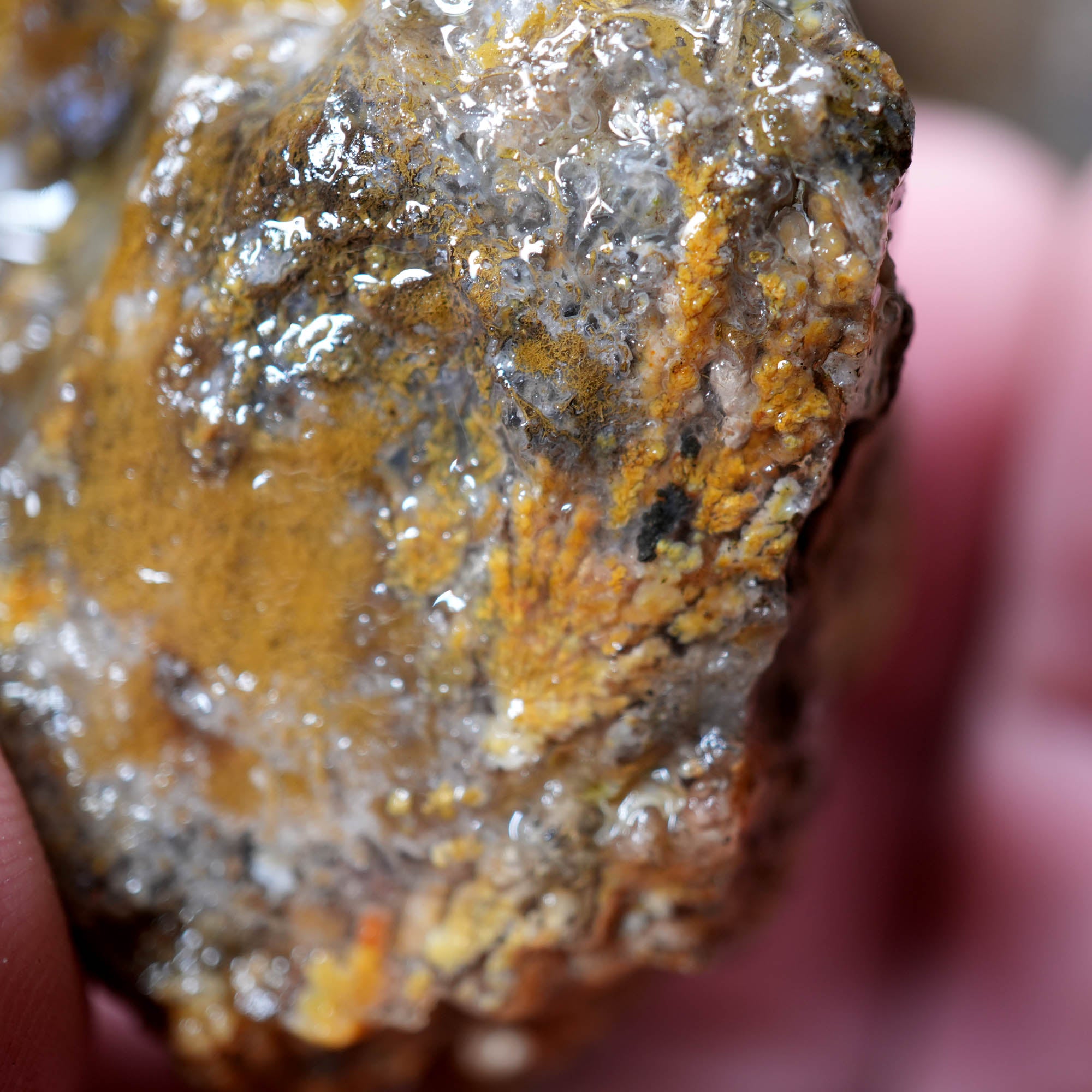 Mix Thundereggs Old Stock Flatrate - Rare Oregon Plume Potential #F369-Photo6