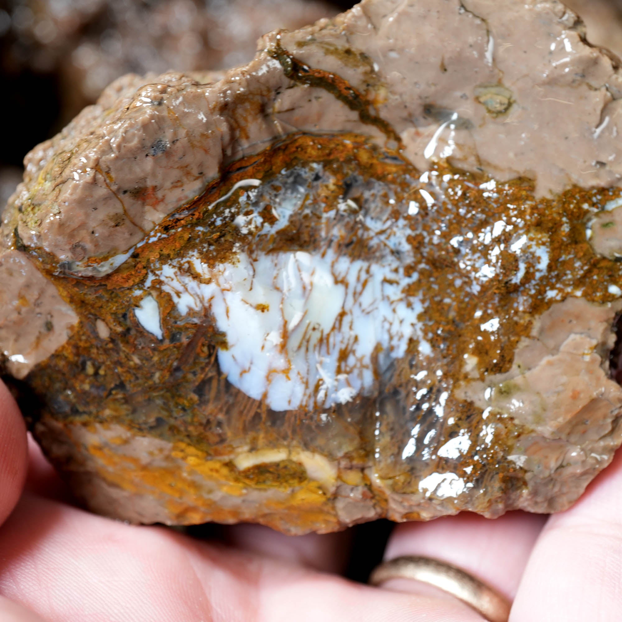 Mix Thundereggs Old Stock Flatrate - Rare Oregon Plume Potential #F369-Photo7
