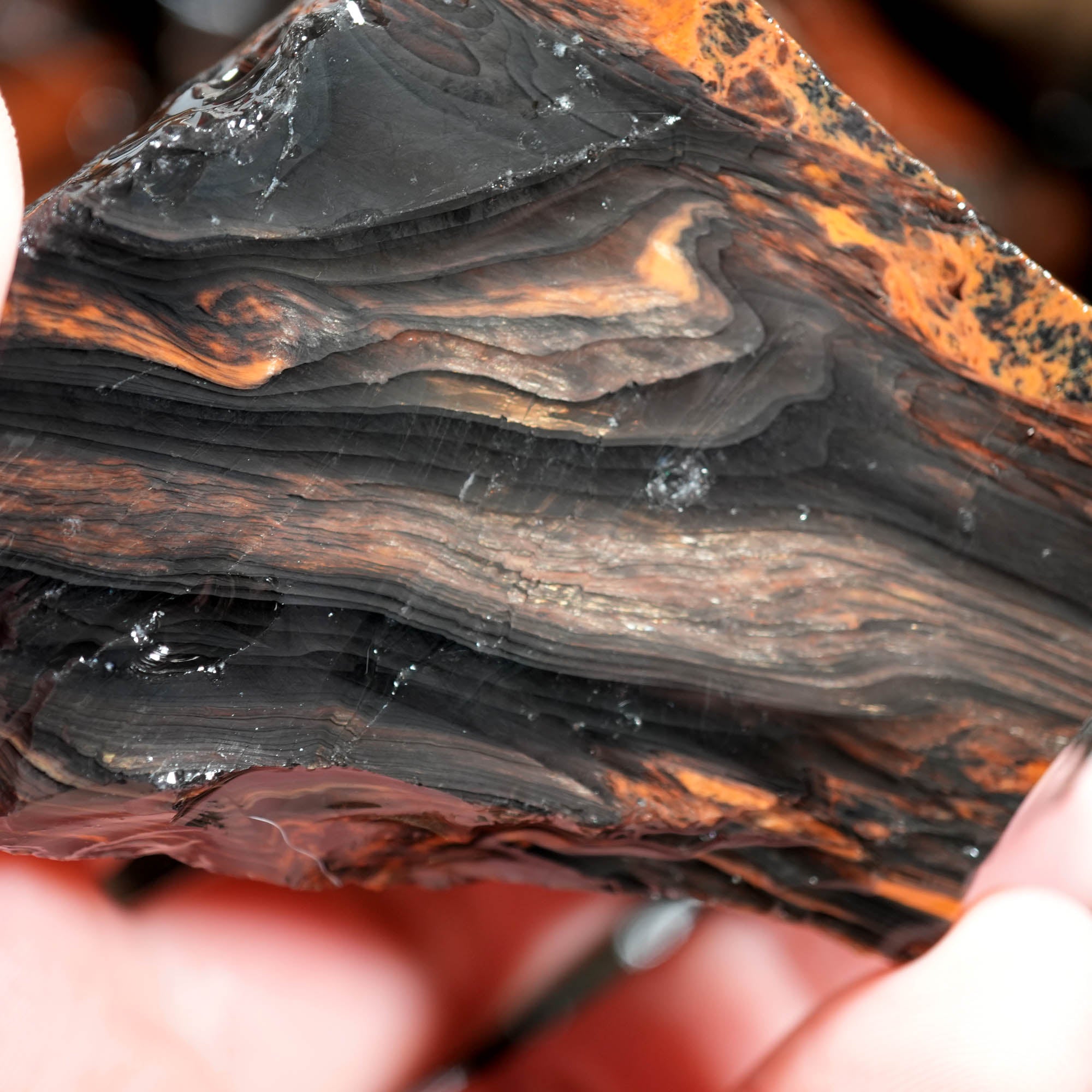 Tri-Flow Obsidian Cutting Rough – Mahogany Flow Patterns Glass Butte #F369-Photo9