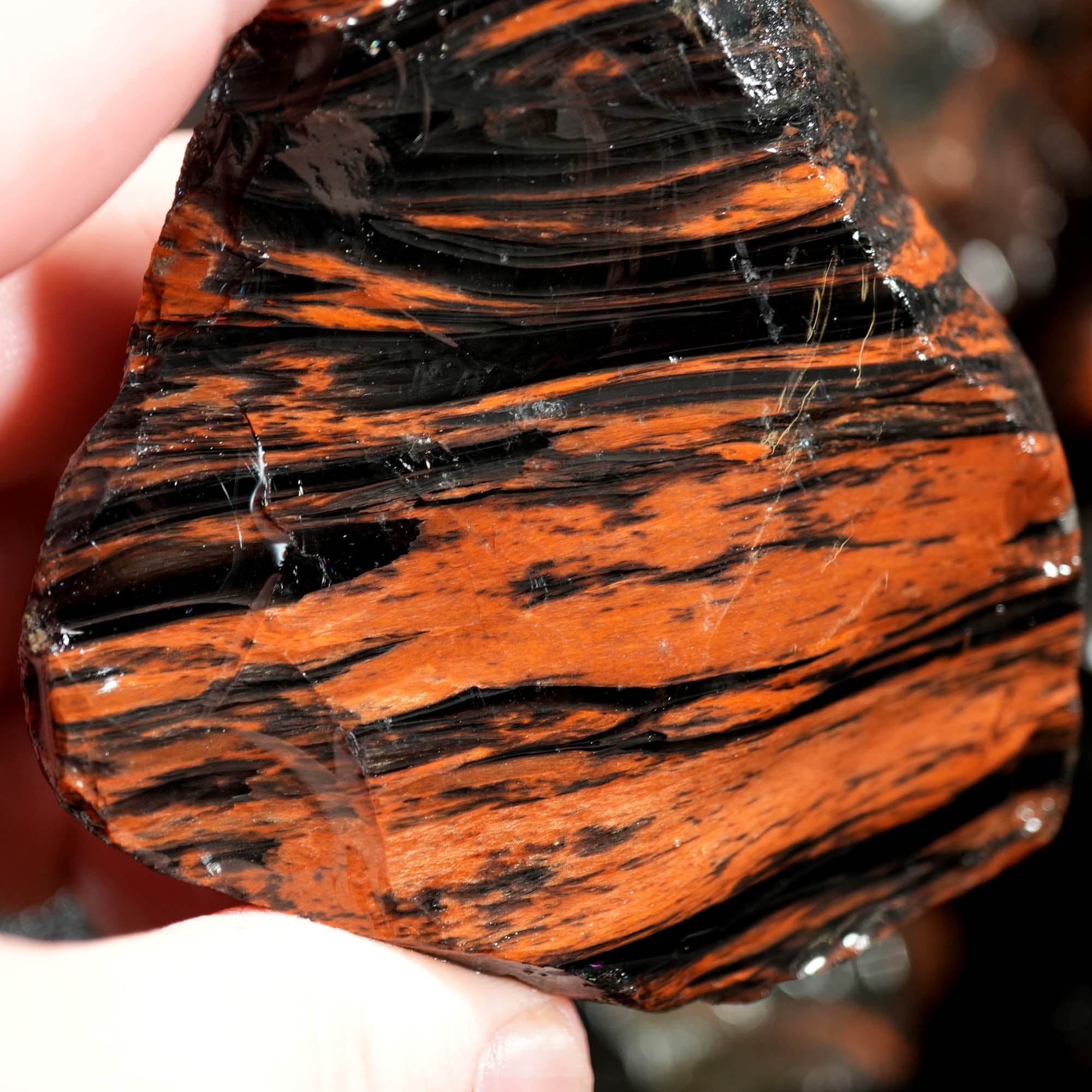 Tri-Flow Obsidian Cutting Rough – Mahogany Flow Patterns Glass Butte #F369-Photo10