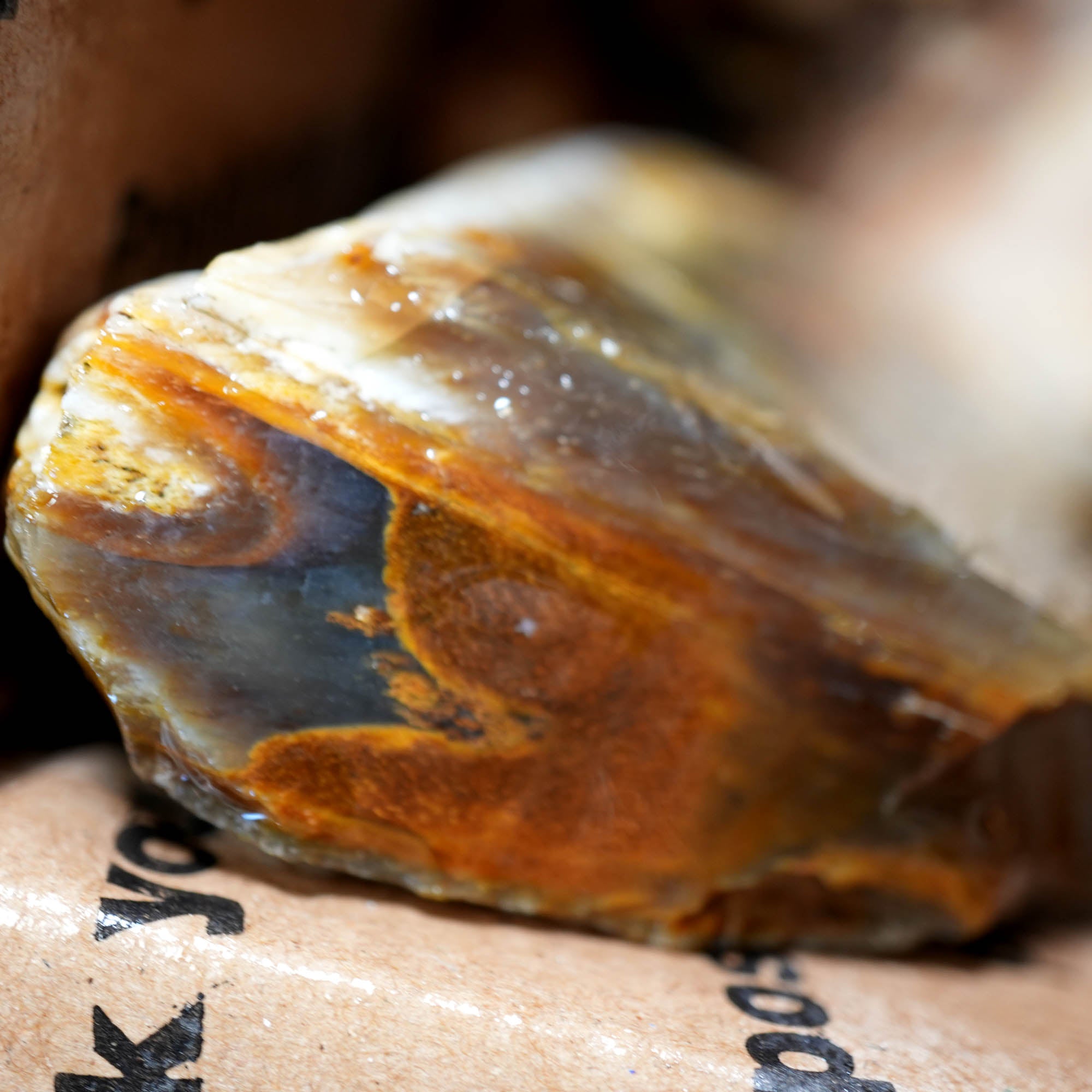 Saddle Mountain Petrified Wood Flatrate - Great Pattern and Wood Structure