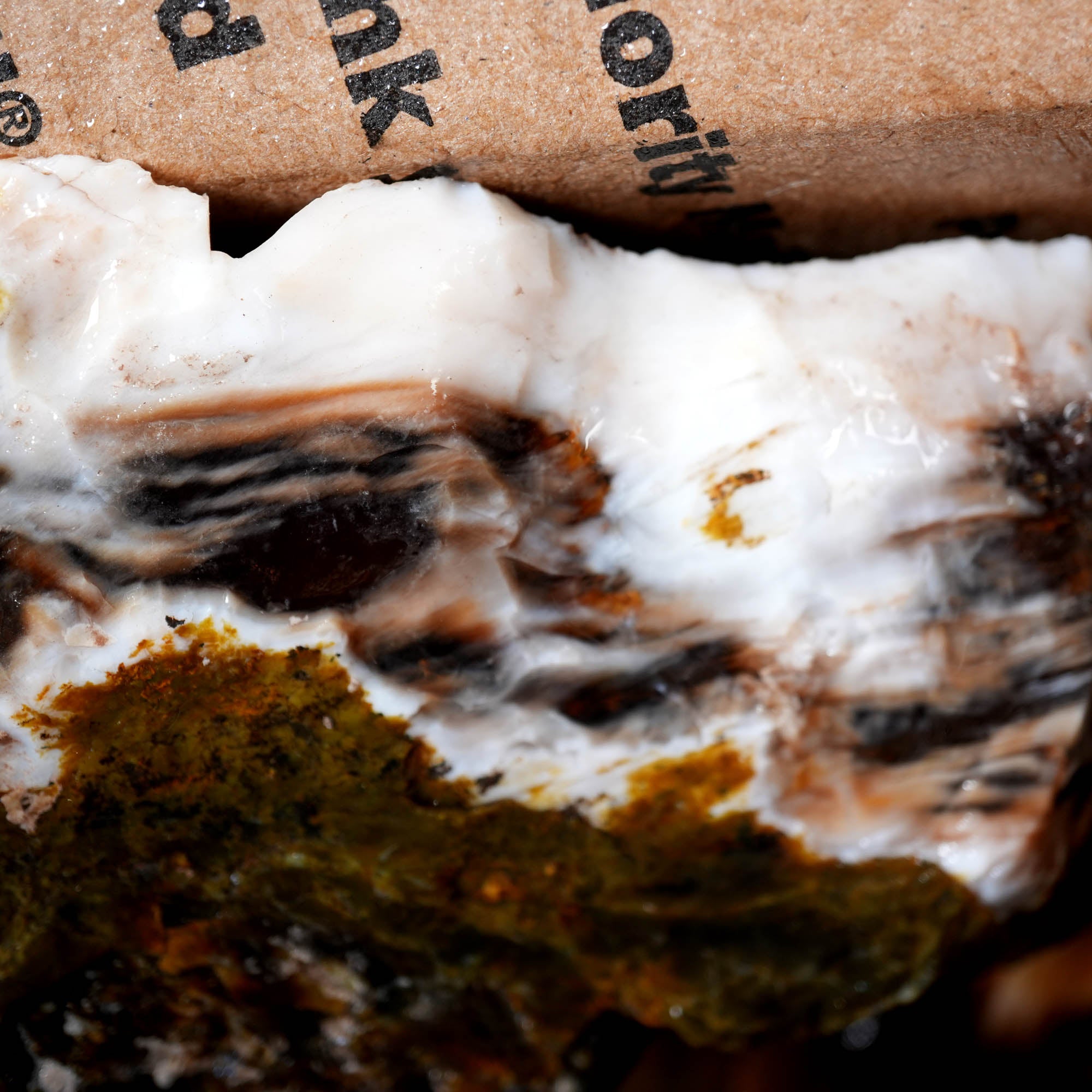 Saddle Mountain Petrified Wood Flatrate - Great Pattern and Wood Structure