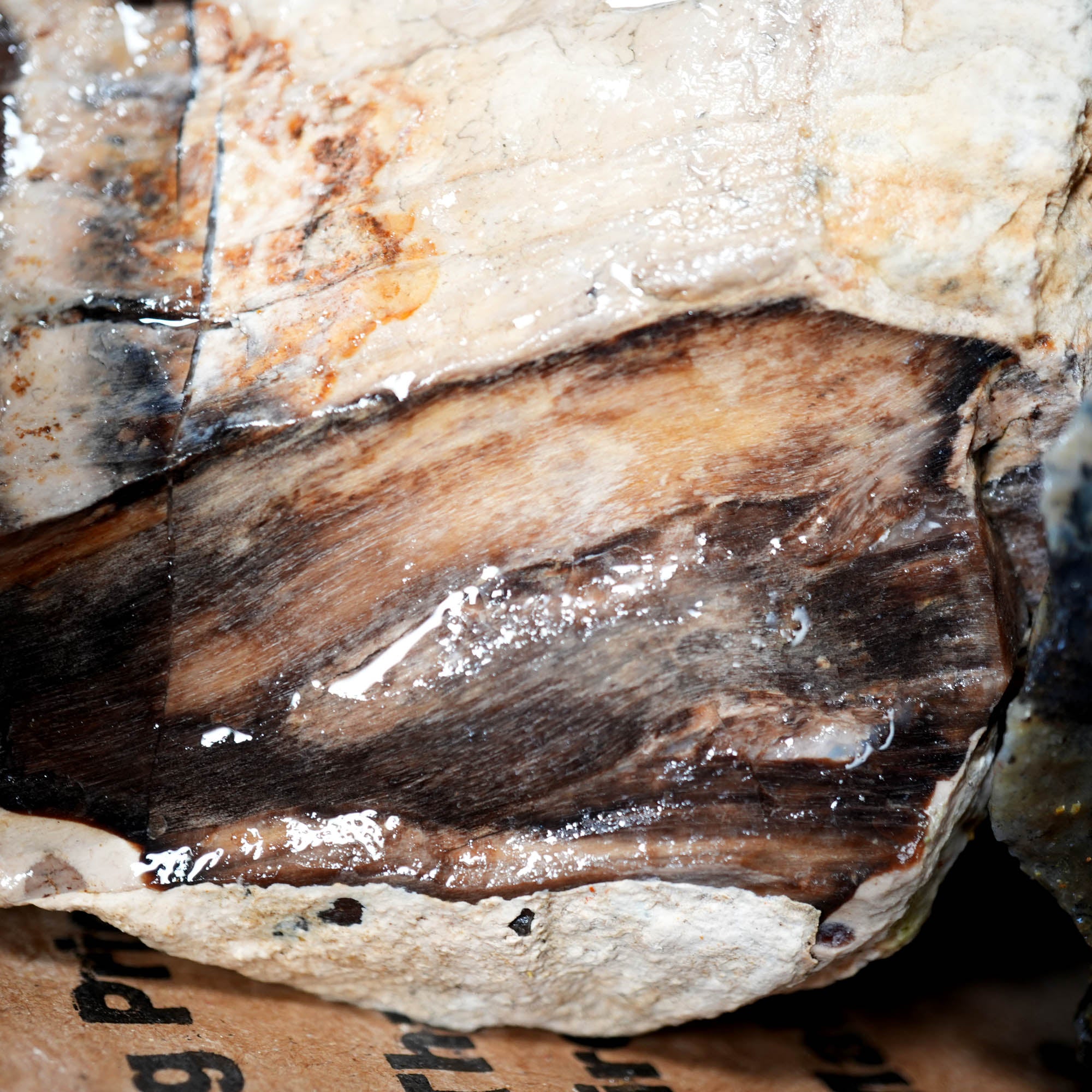Oregon Mixed Rough Collection – Budget Practice Cutting Material #F371-Photo7