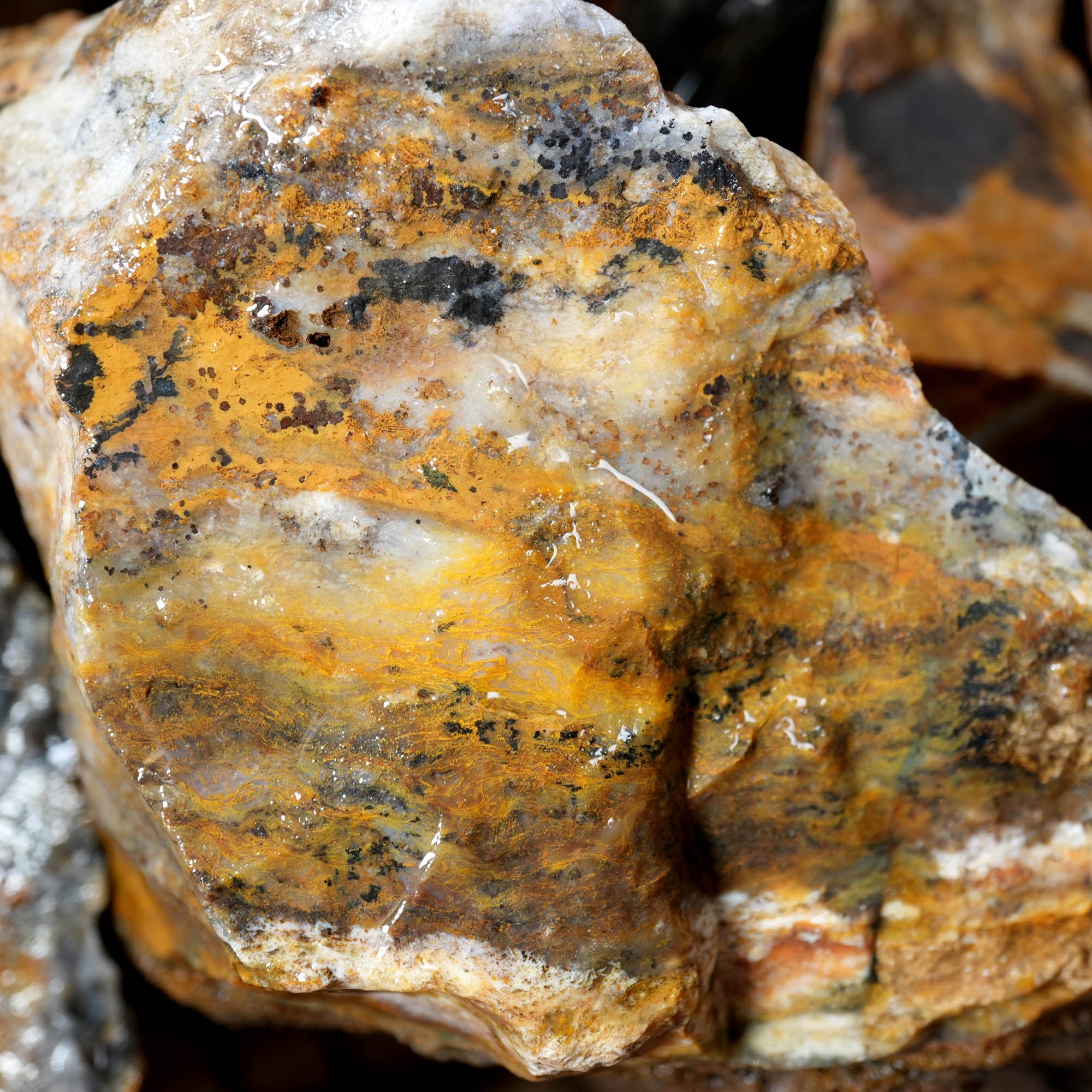 Ochoco Sunset Agate Rough – Warm Sunset Tones Bill Quant Material #F372-Photo2