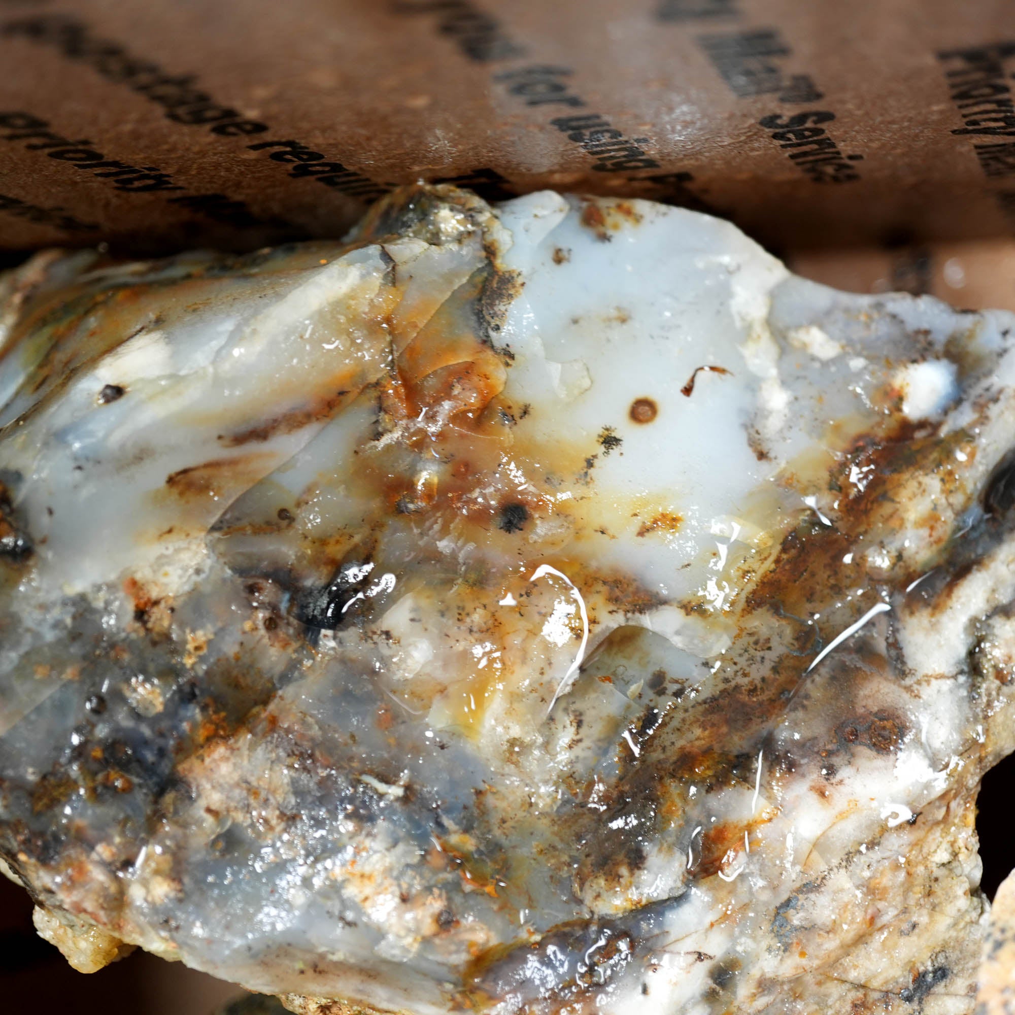 Ochoco Sunset Agate Rough – Warm Sunset Tones Bill Quant Material #F372-Photo3