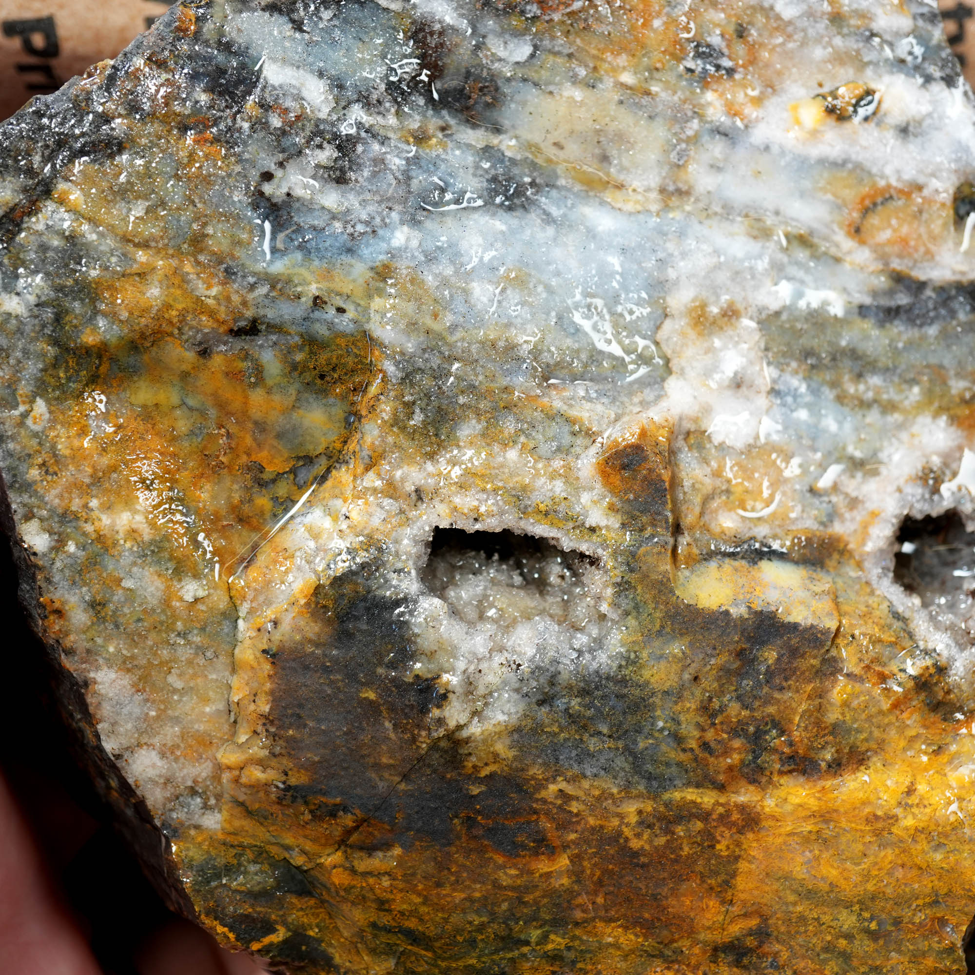 Ochoco Sunset Agate Rough – Warm Sunset Tones Bill Quant Material #F372-Photo4