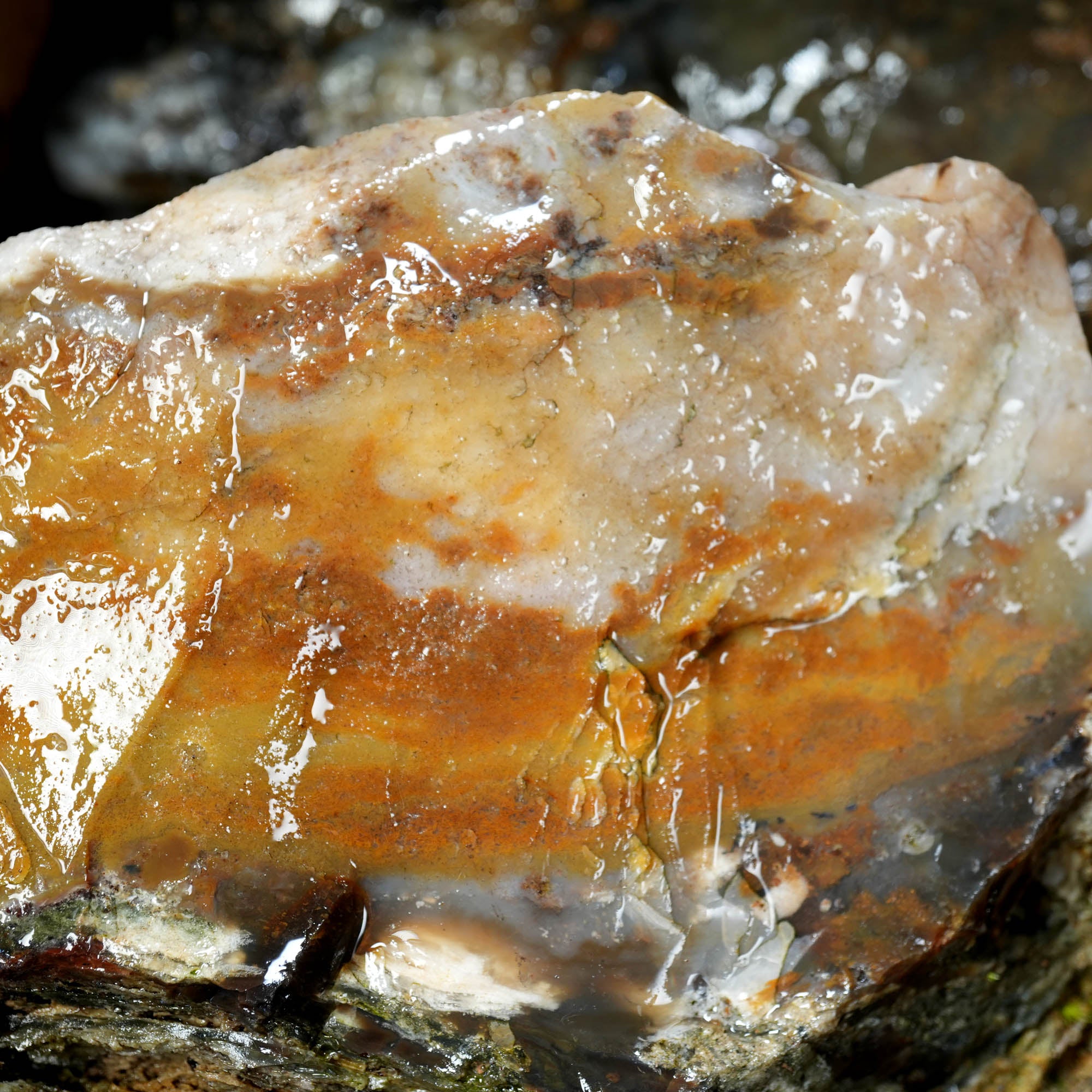 Ochoco Sunset Agate Rough – Warm Sunset Tones Bill Quant Material #F372-Photo5