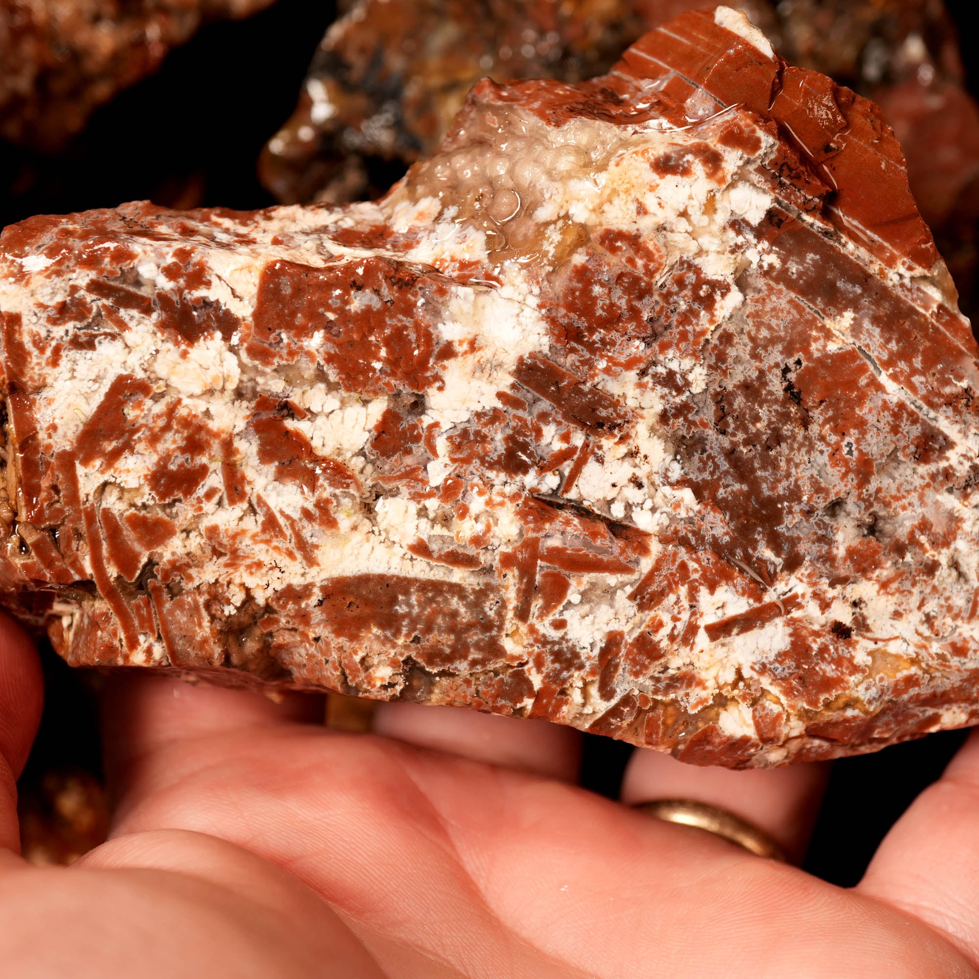 Eagle Rock Plume Agate Rough Flatrate - Multiple Varieties