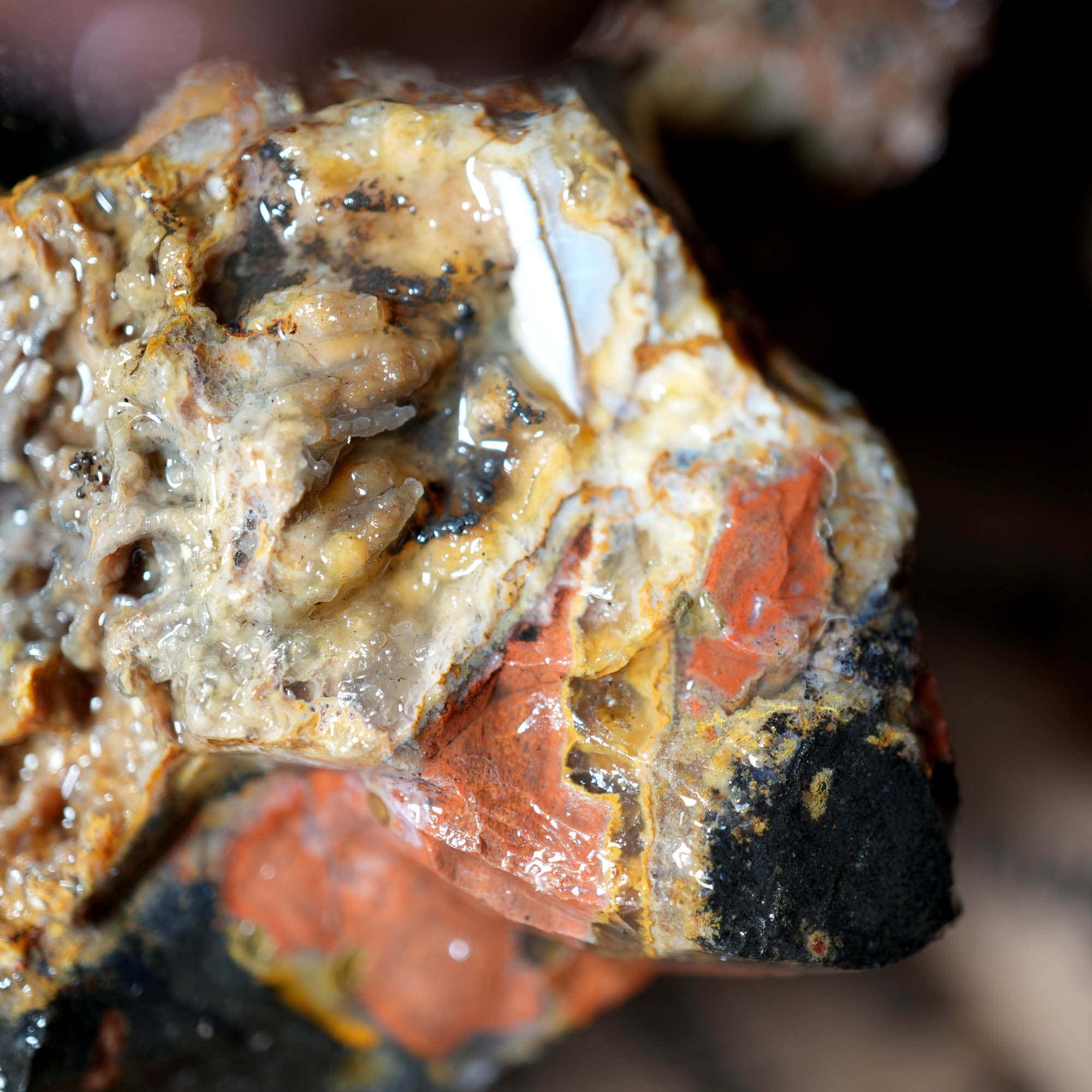 Eagle Rock Plume Agate Rough Flatrate - Multiple Varieties