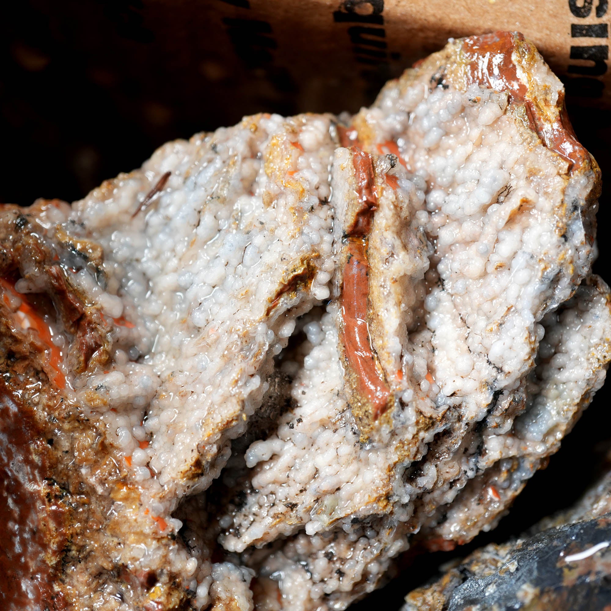 Eagle Rock Plume Agate Rough Flatrate - Multiple Varieties