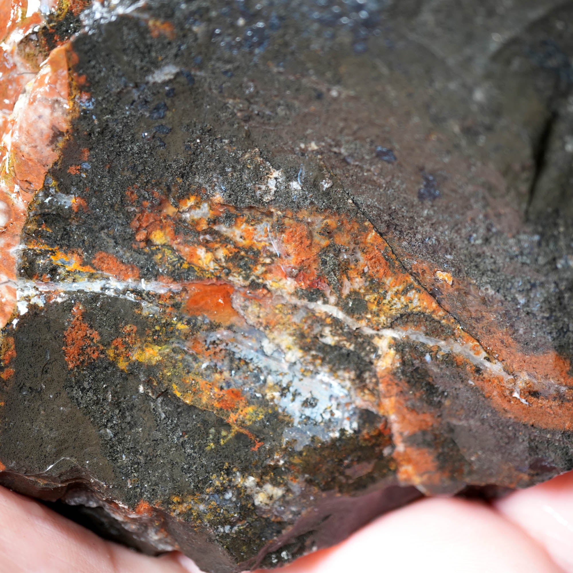 Eagle Rock Plume Agate Rough Flatrate - Multiple Varieties