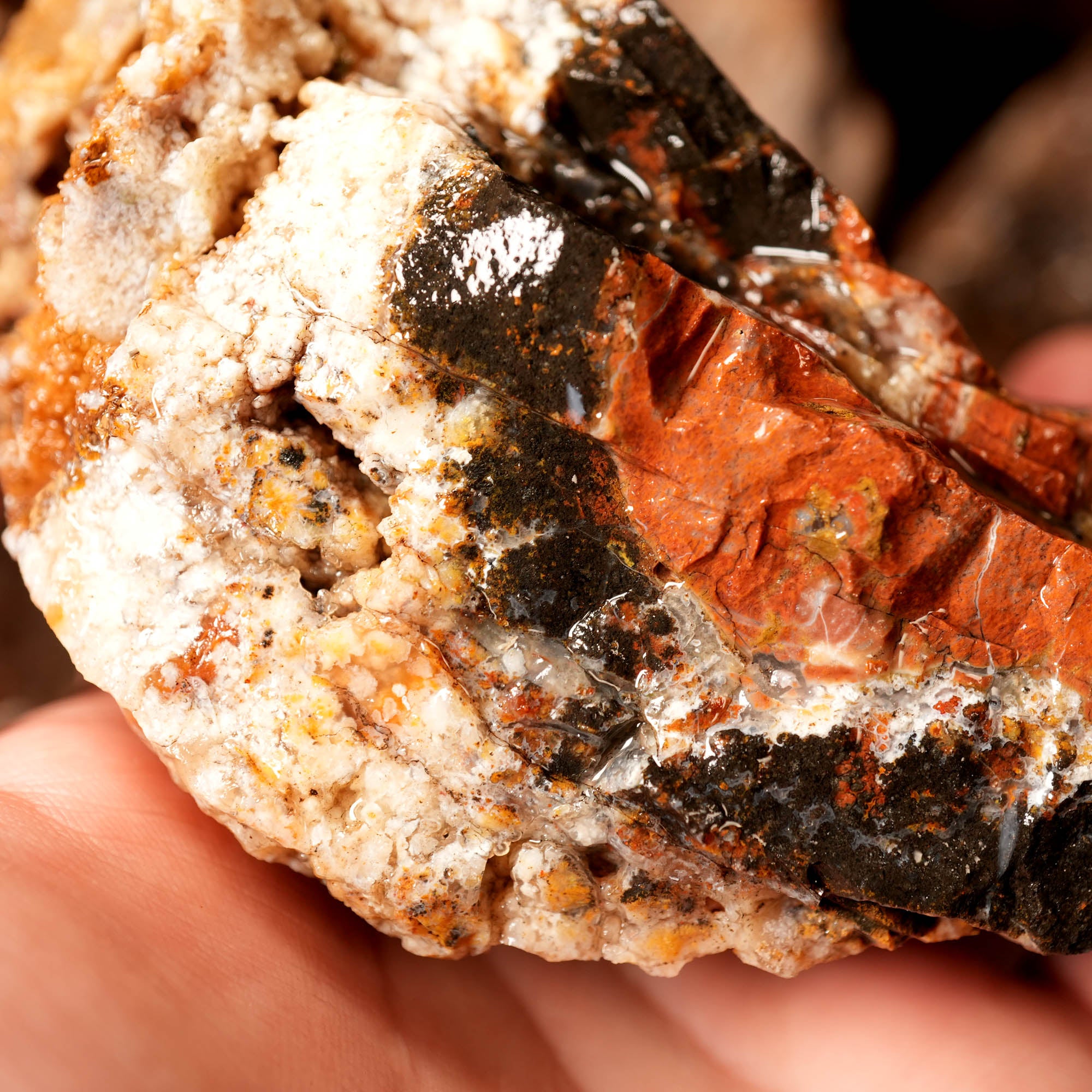 Eagle Rock Plume Agate Rough Flatrate - Multiple Varieties