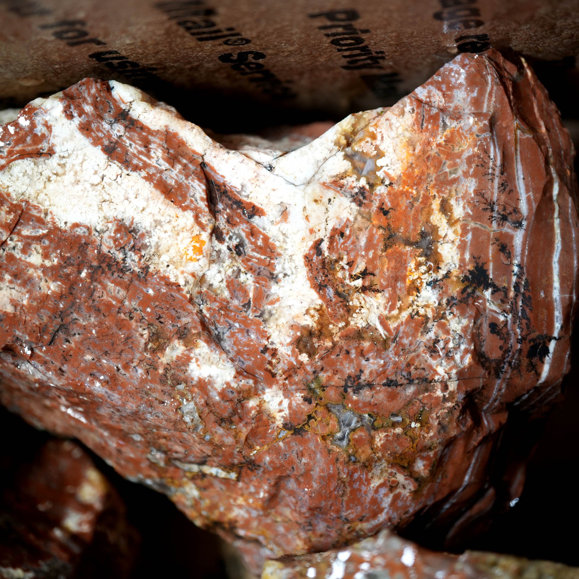 Eagle Rock Plume Agate Rough Flatrate - Multiple Varieties