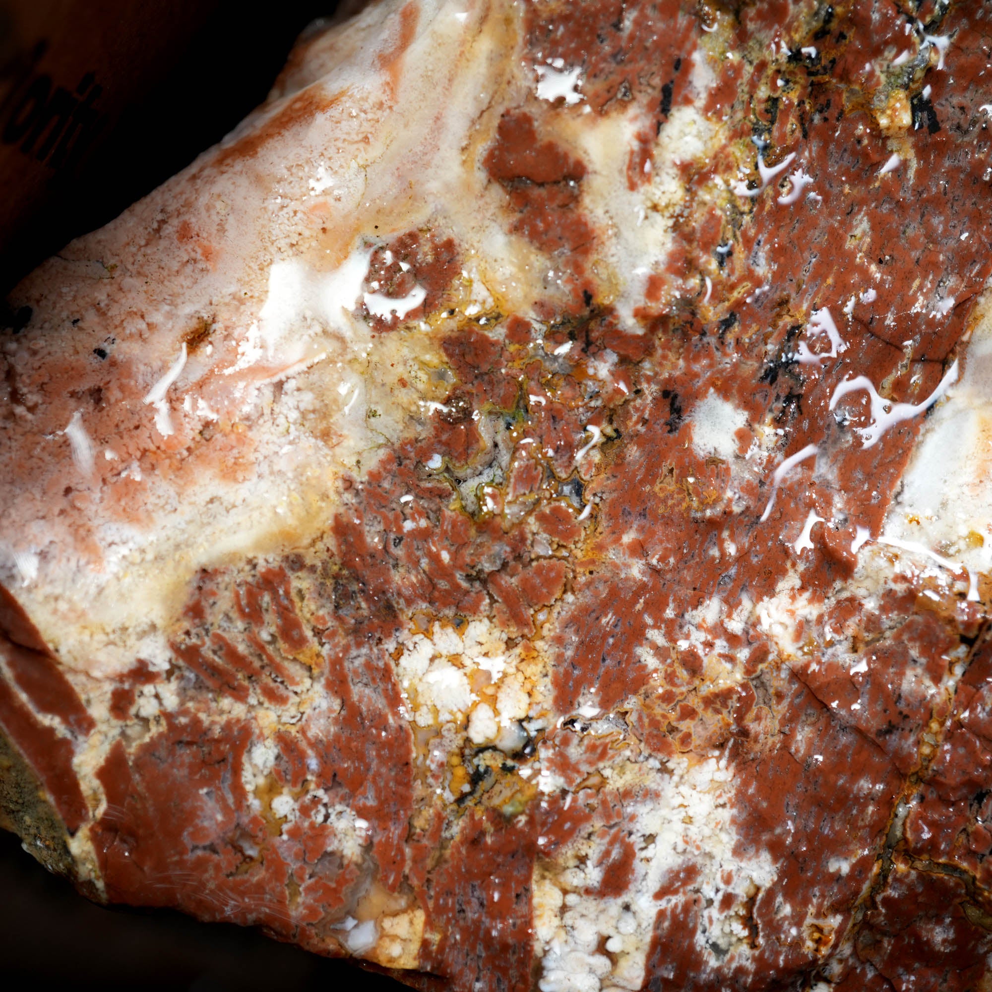 Eagle Rock Plume Agate Rough Flatrate - Multiple Varieties