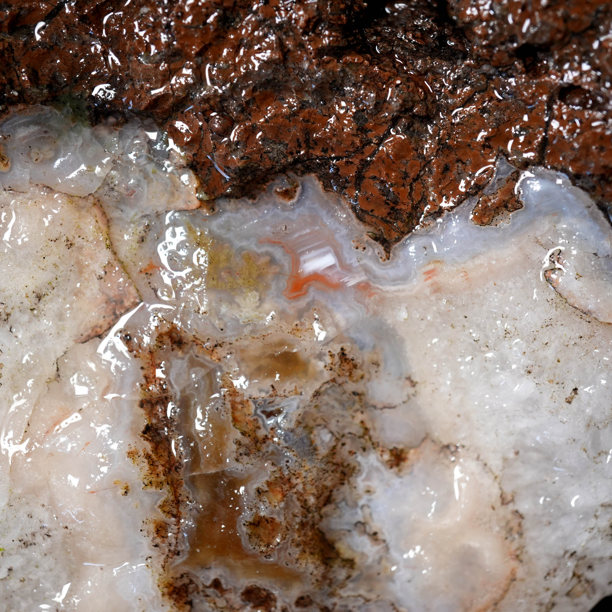 Mix Old Stock Oregon Thundereggs Rough - Rare Priday Plume Potential #F374-Photo2