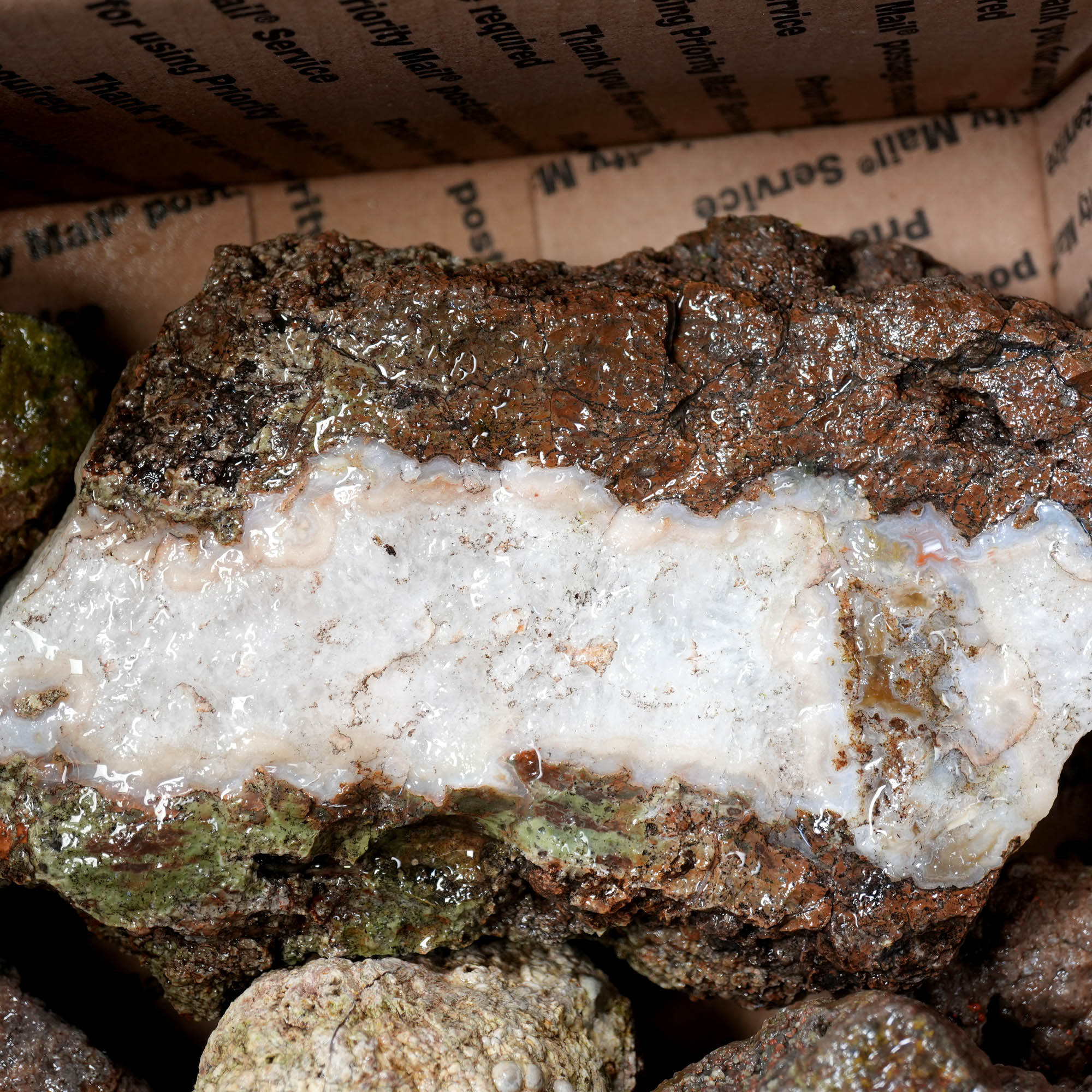 Mix Old Stock Oregon Thundereggs Rough - Rare Priday Plume Potential #F374-Photo3