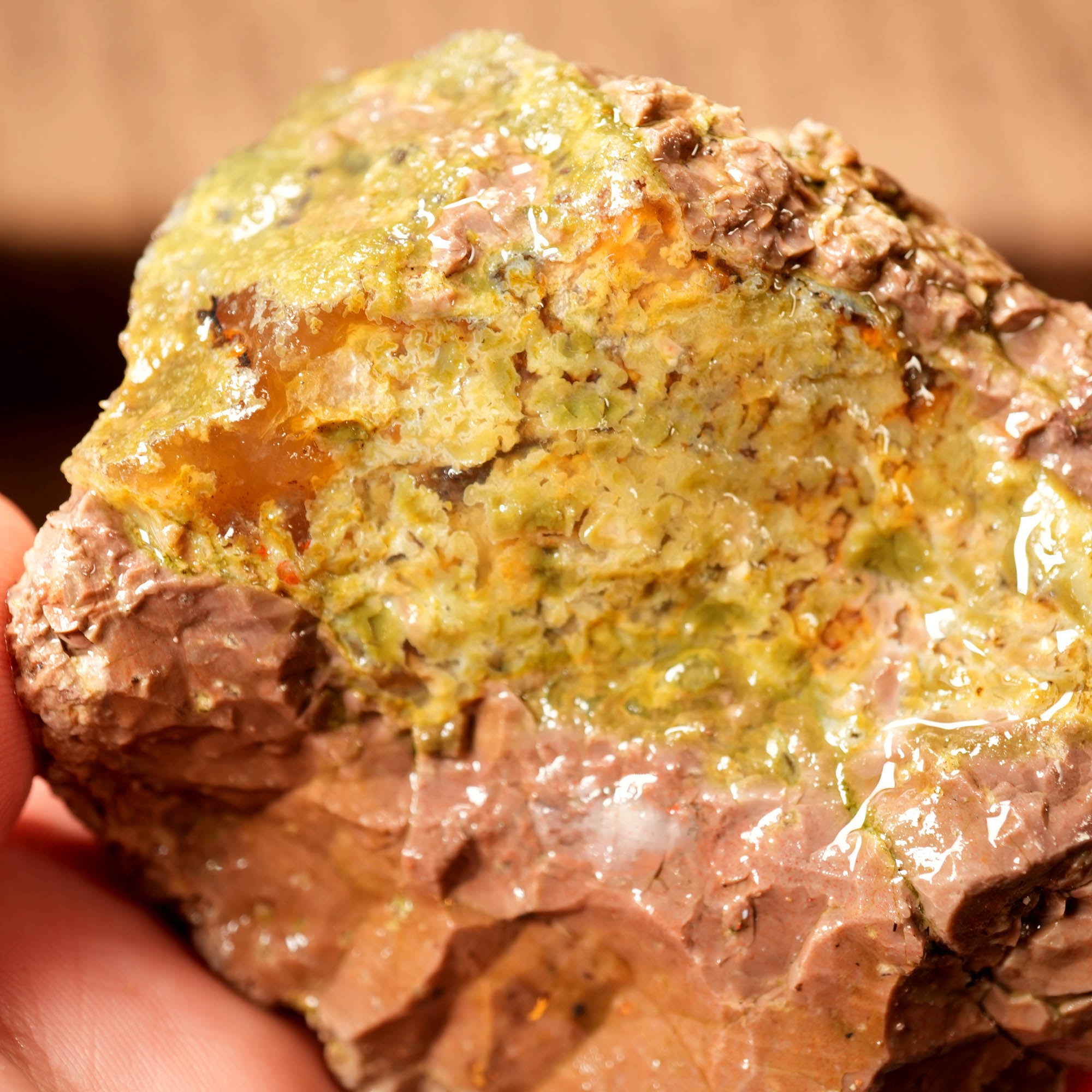 Mix Old Stock Oregon Thundereggs Rough - Rare Priday Plume Potential #F374-Photo4