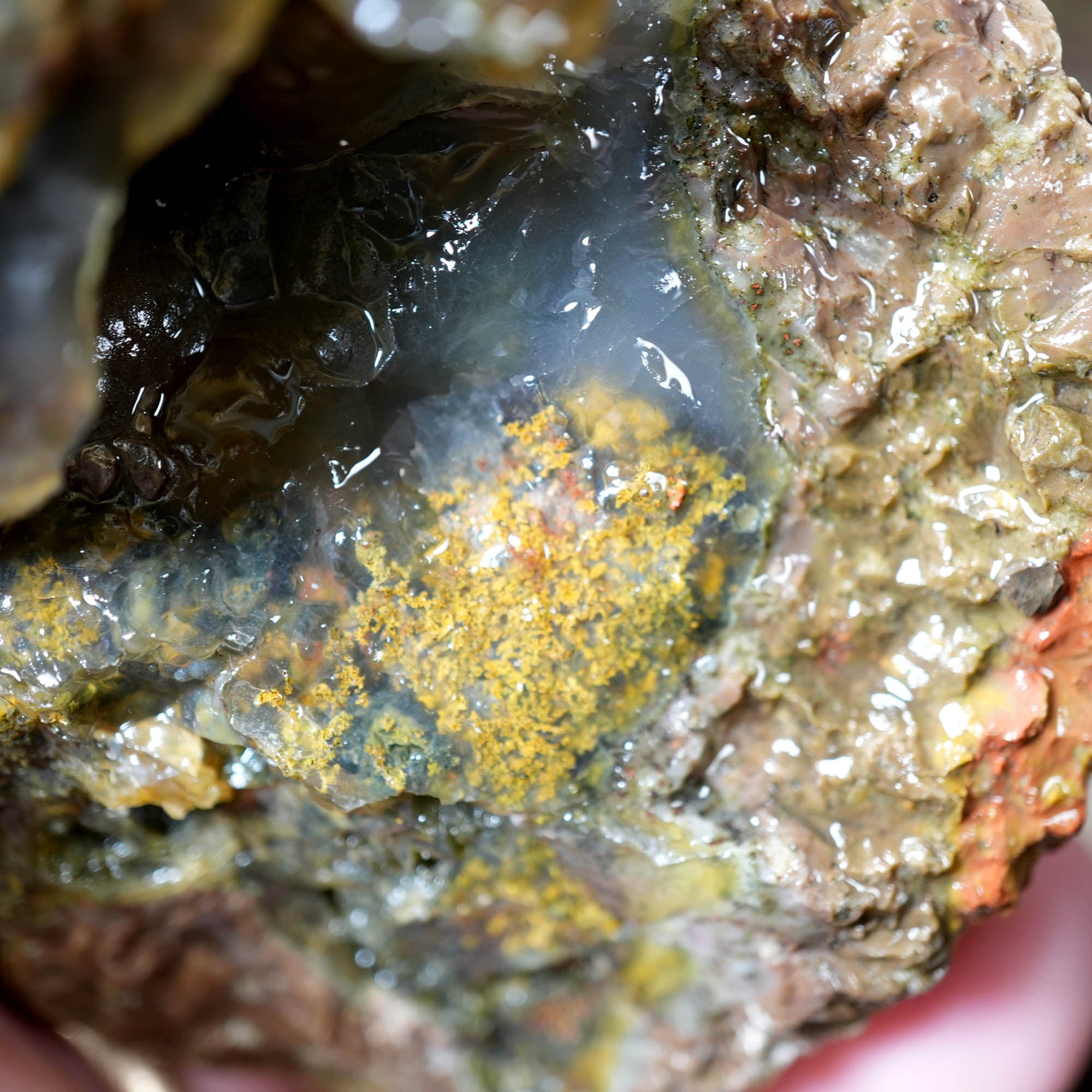 Mix Old Stock Oregon Thundereggs Rough - Rare Priday Plume Potential #F374-Photo5
